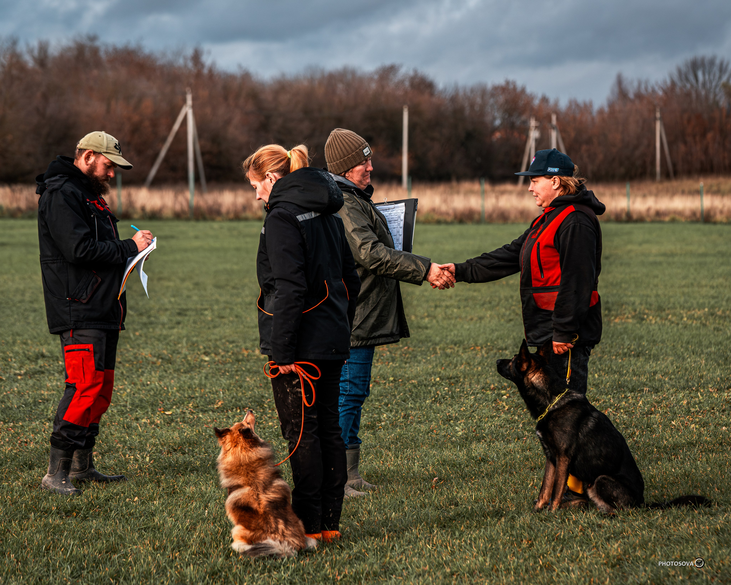МЫ — КОМАНДА (соревнования) OKD, BH, IBGH, IGP. Фотограф-анималист, семейный фотограф в Москве и Подмосковье. Фотосъёмка кинологических дисциплин