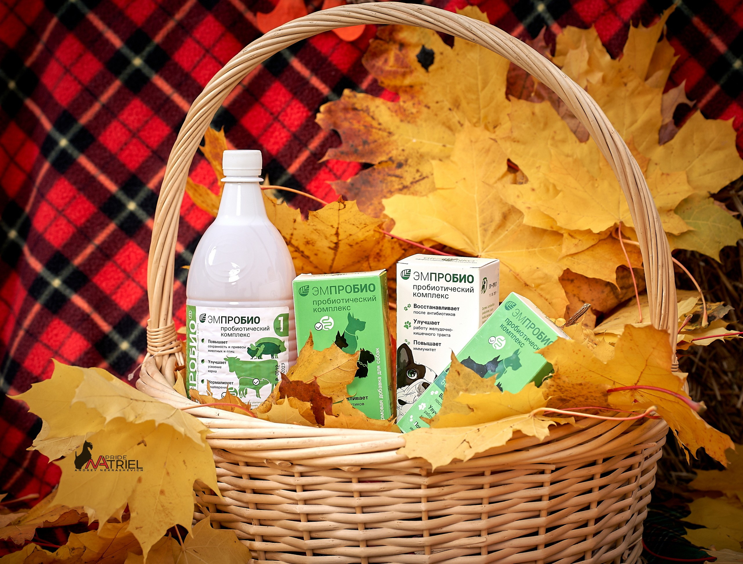 Предметная съемка — галерея NATRIEL