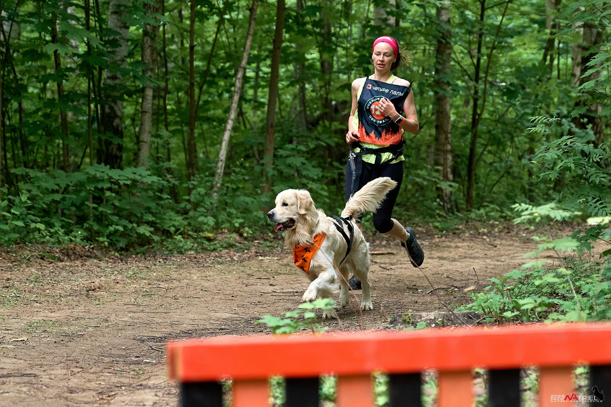 Russian Extreme Dog Trail — 2025