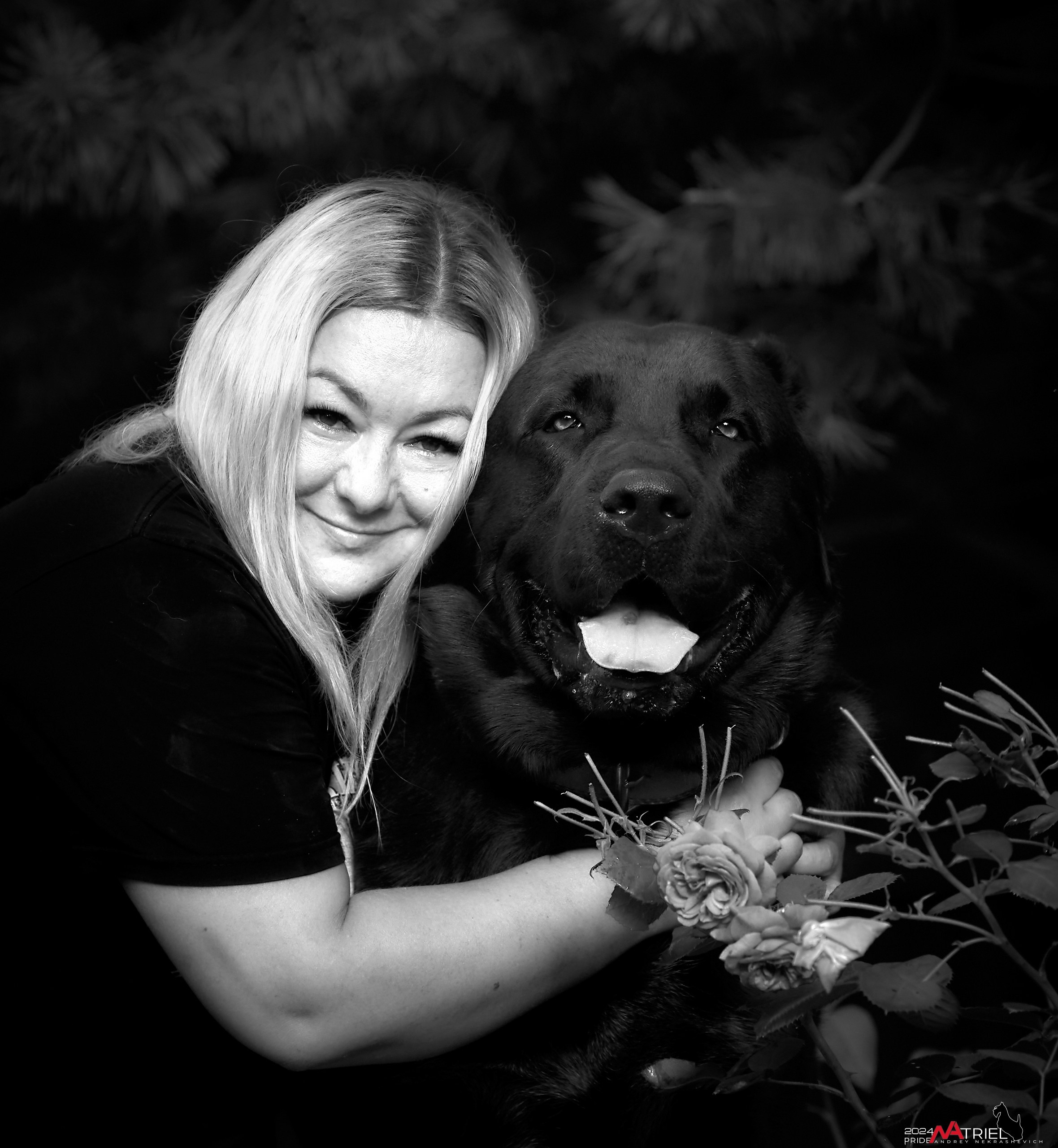 Съемка собак с выездом к Вам в дом