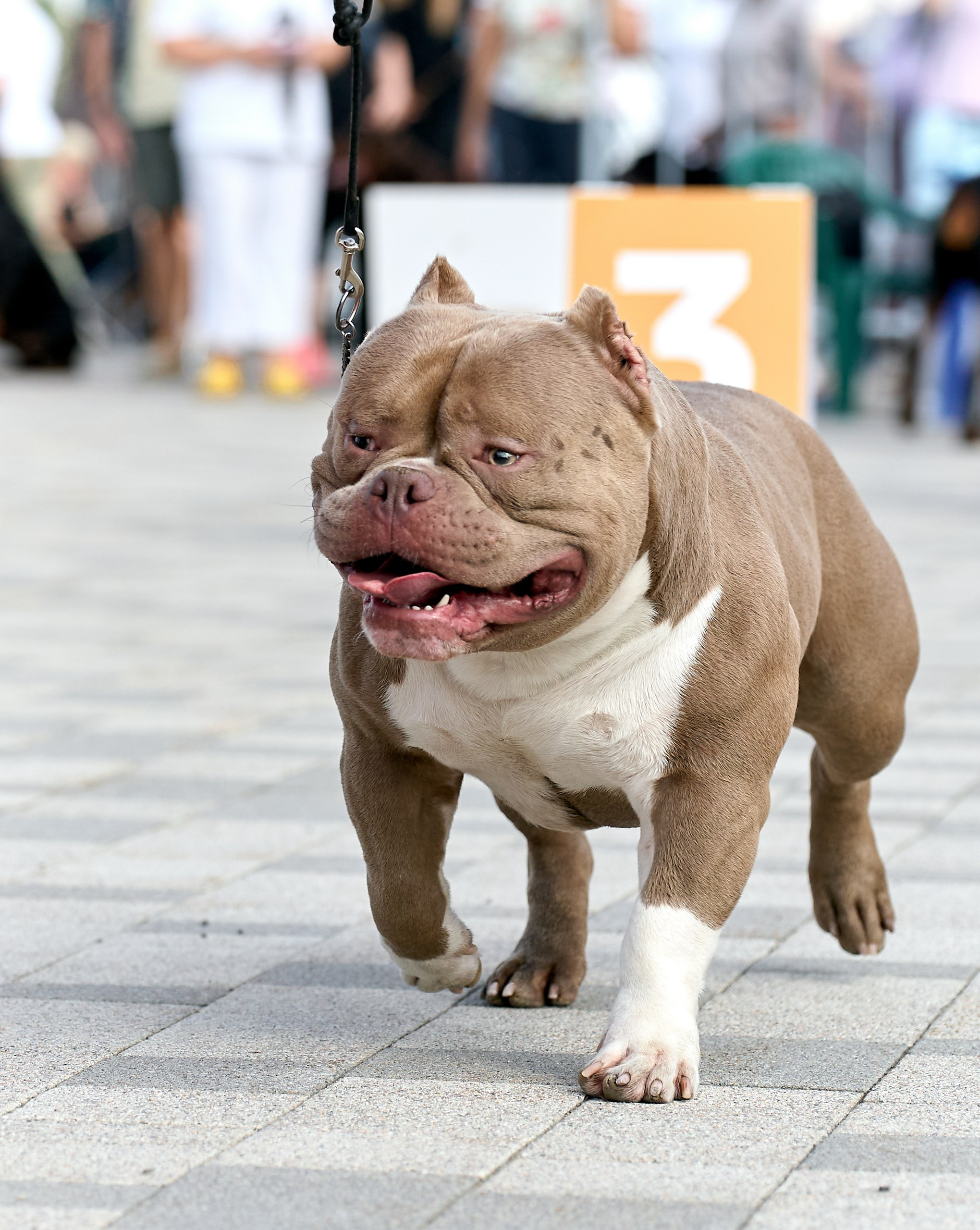 Съемка на выставке Ясенево