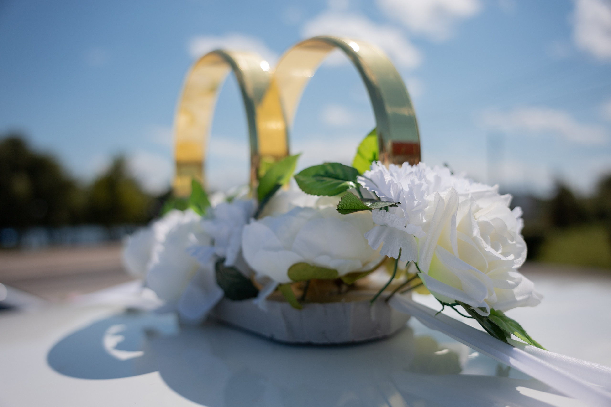 Свадебная фотосессия Николая и Виктории в Липецке