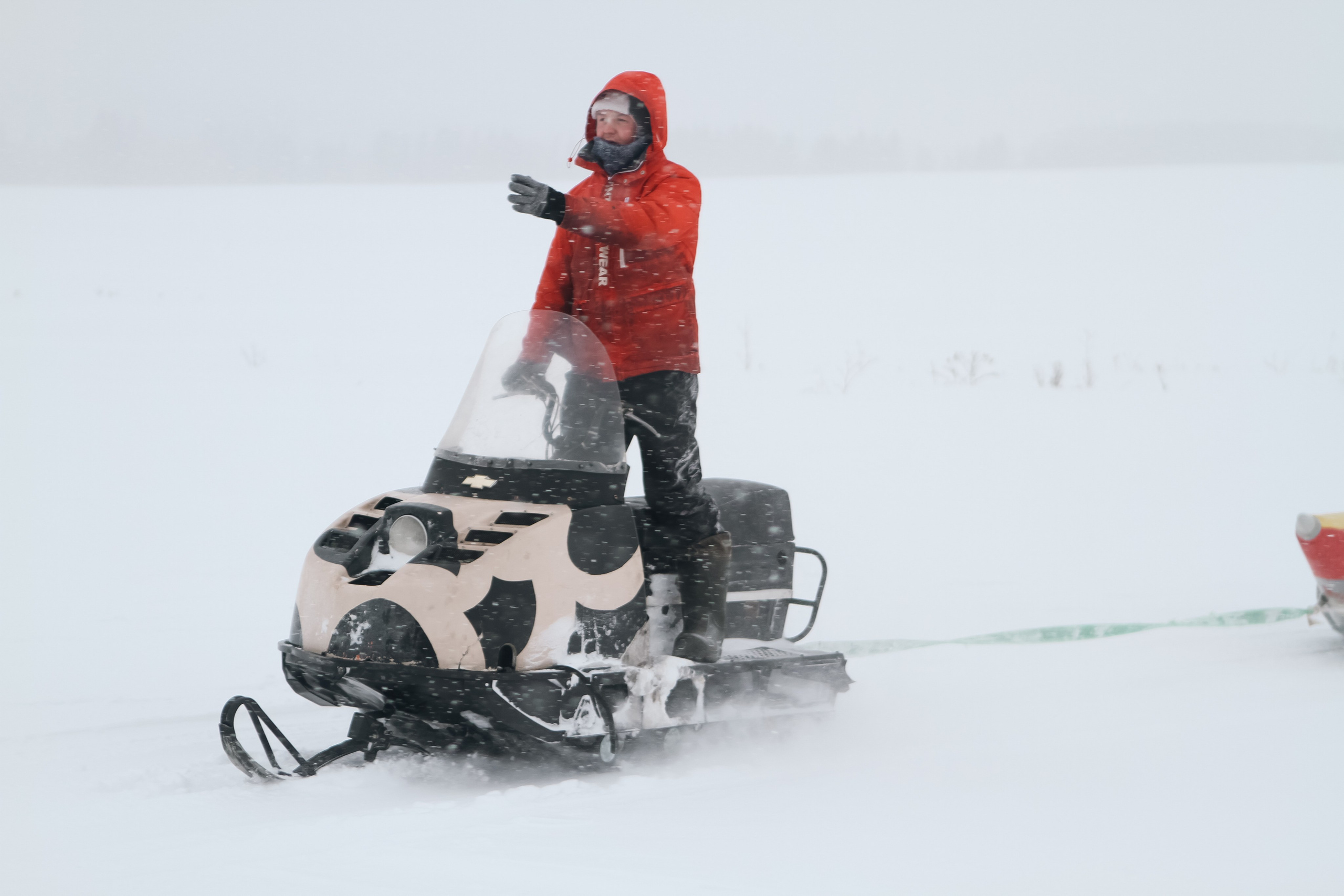 Мир животных. Репортажный и спортивный фотограф в г. Пермь Зильберг Павел