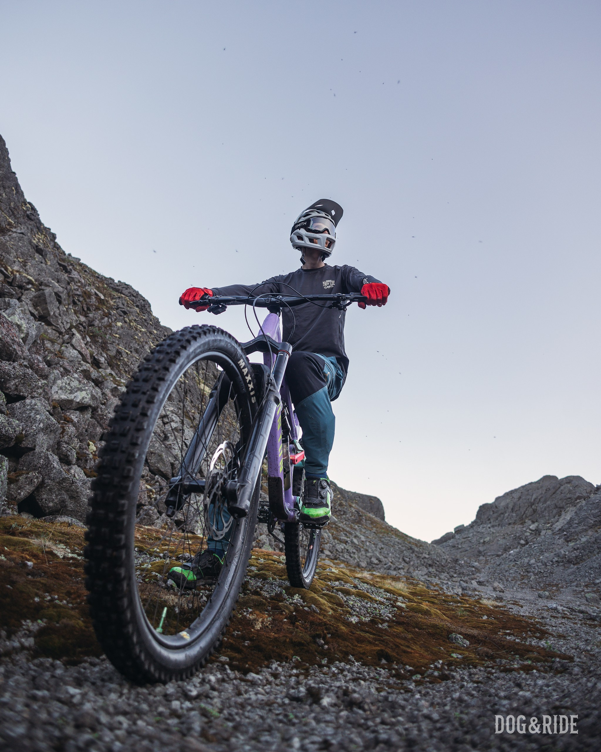 Хибины. Фотограф анималист Никита Натальный