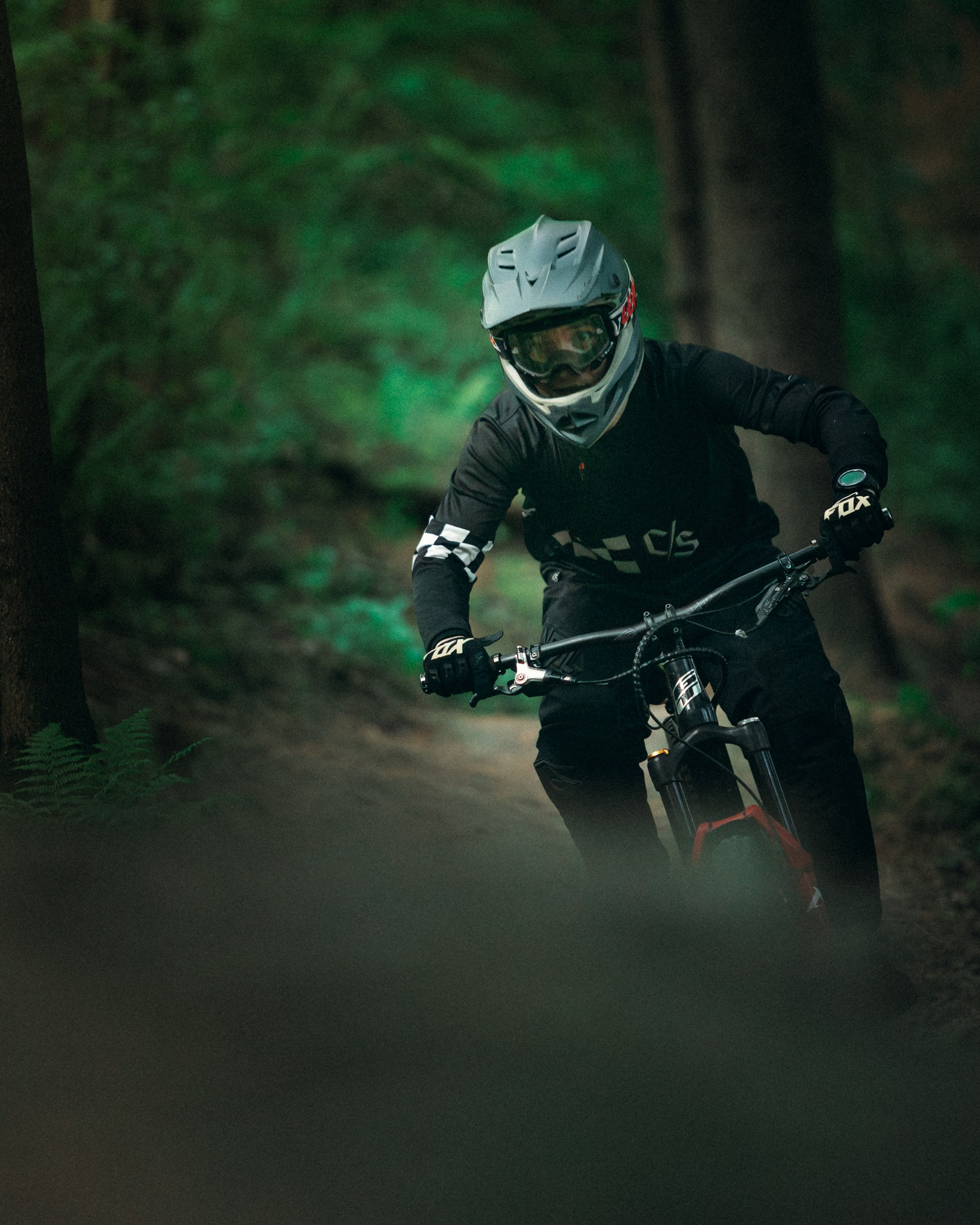 Саша и Ваня. Фотограф анималист Никита Натальный