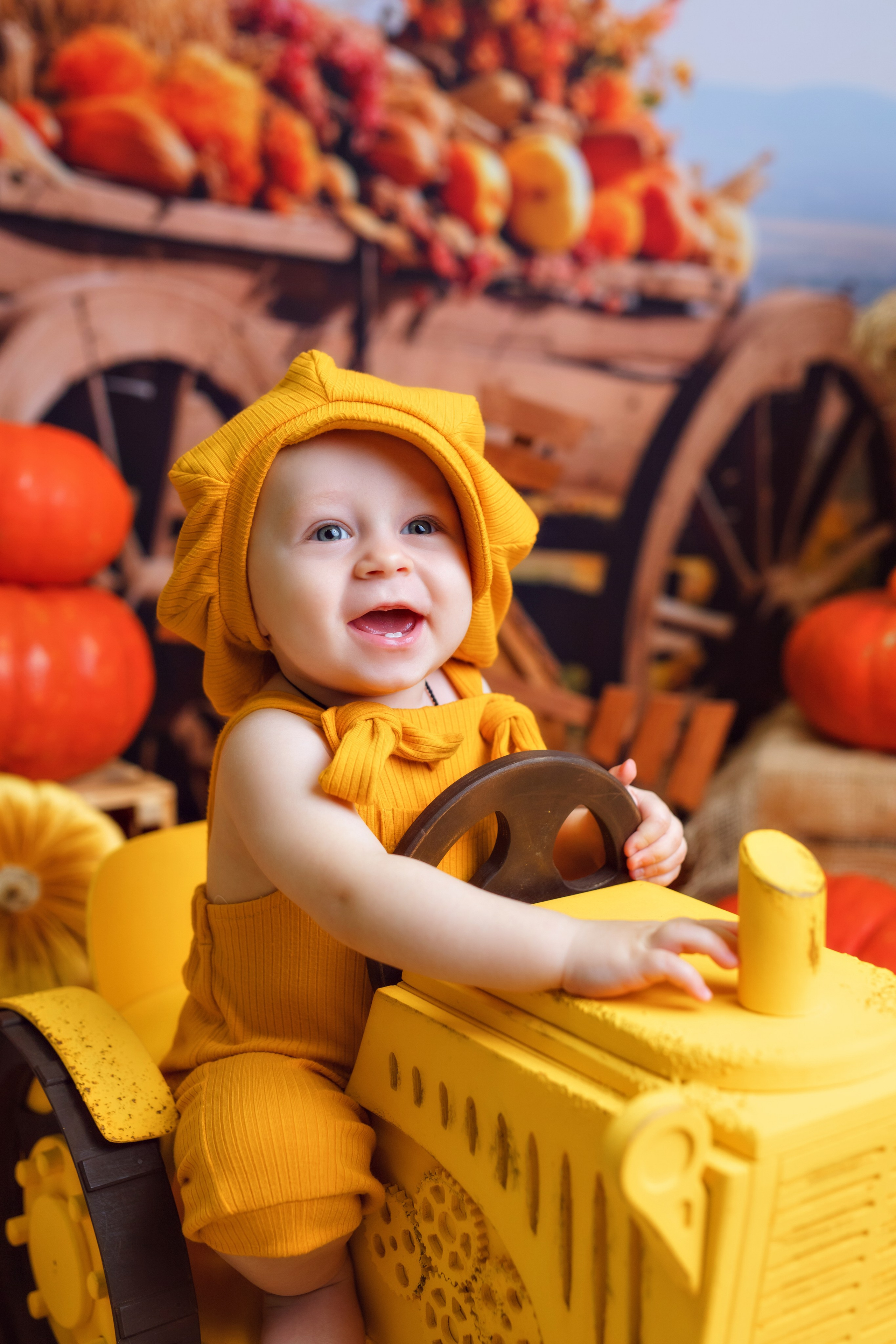 Тыквы. Фотограф Болотова Иветта