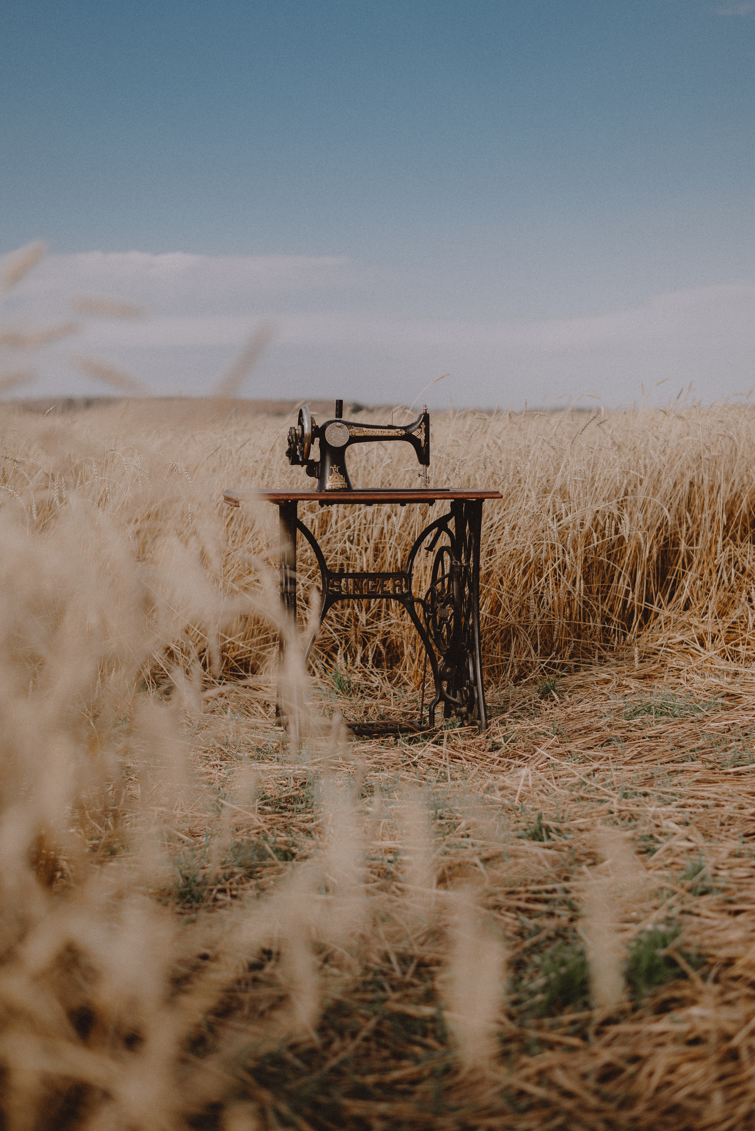 Darya Kipriyanova. Field concept. Екатерина Курбанова. Женский фотограф