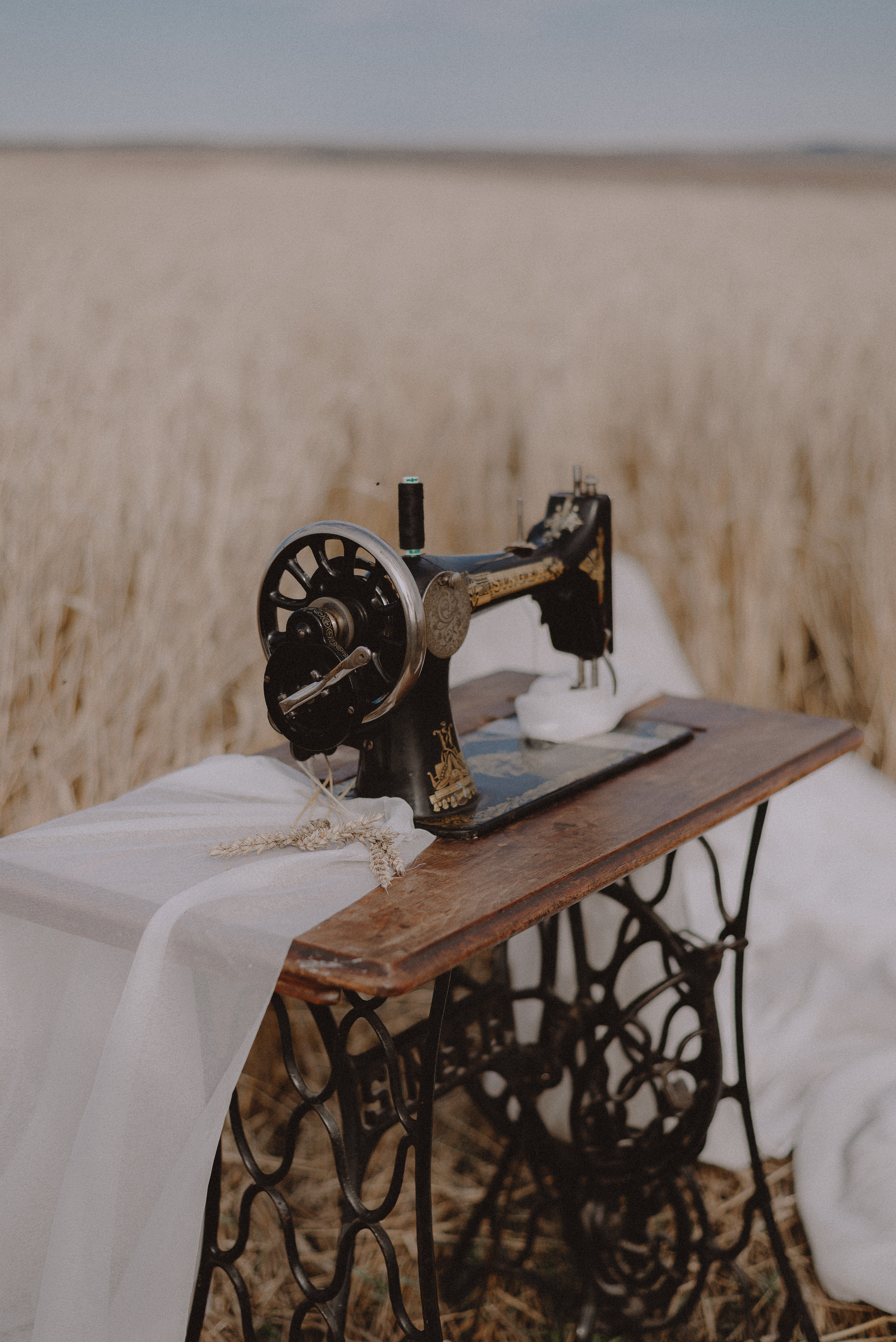 Darya Kipriyanova. Field concept. Екатерина Курбанова. Женский фотограф