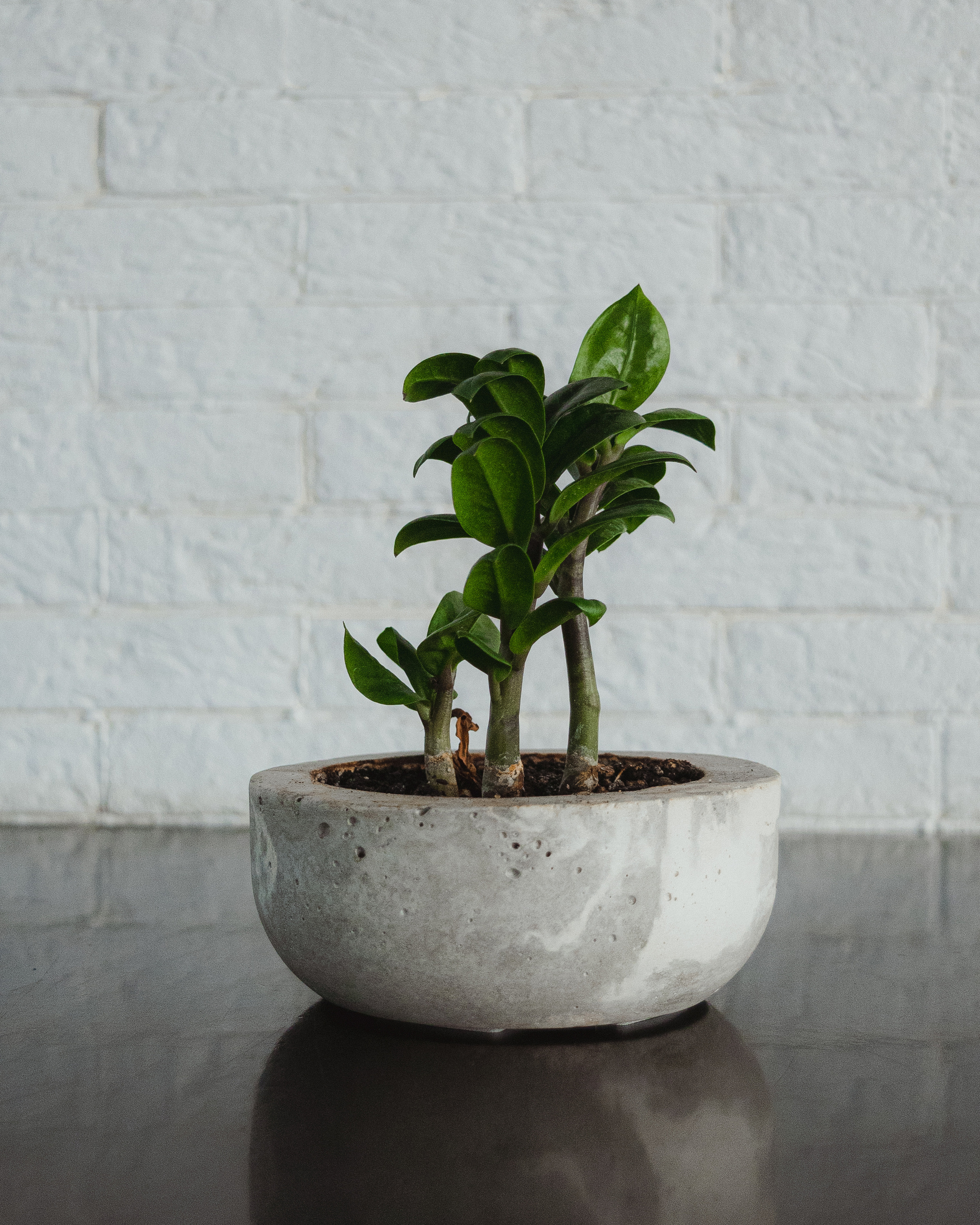 Lunga, сеть кофеен. Екатерина Курбанова. Женский фотограф