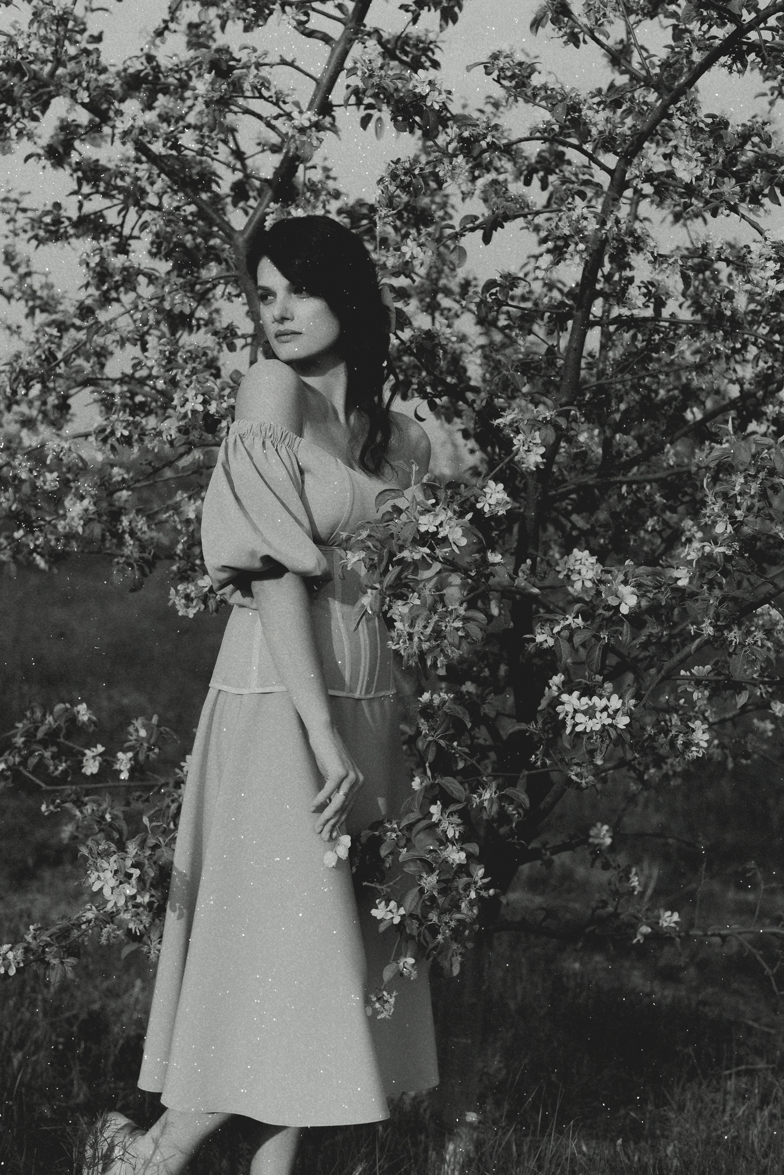 Blossom. Екатерина Курбанова. Женский фотограф