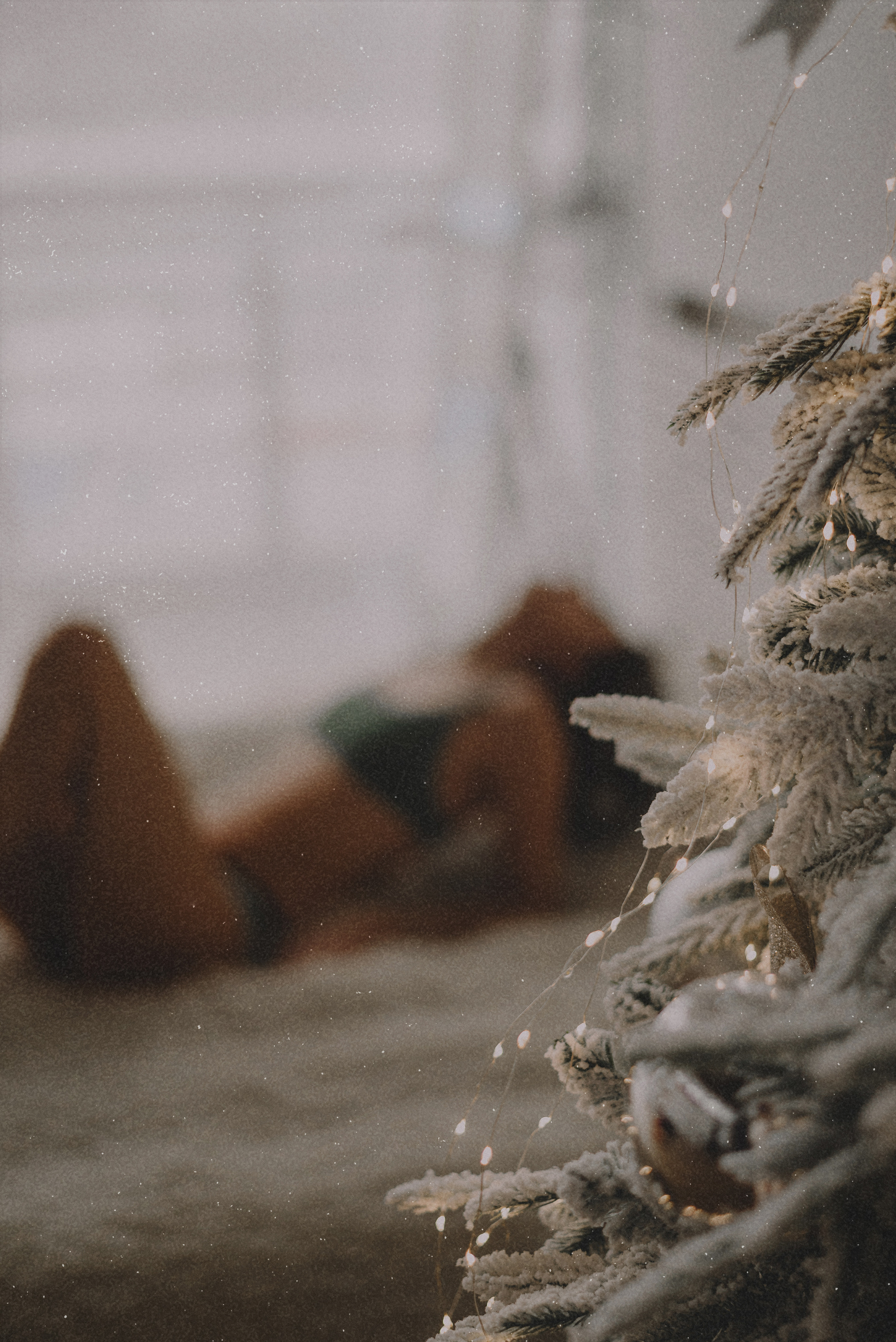 Фотодень, дек 2021. Екатерина Курбанова. Женский фотограф