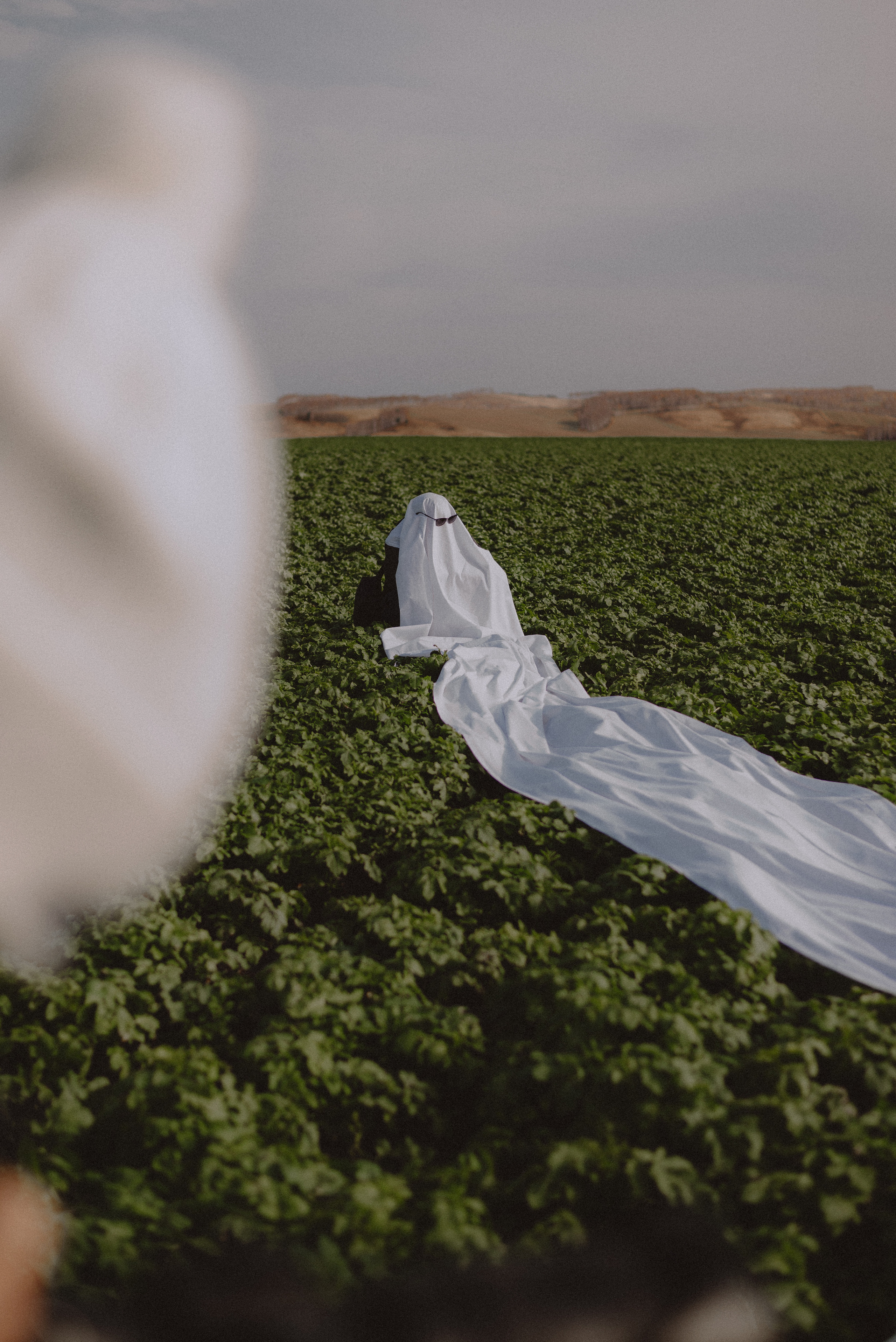Darya Kipriyanova. Field concept. Екатерина Курбанова. Женский фотограф