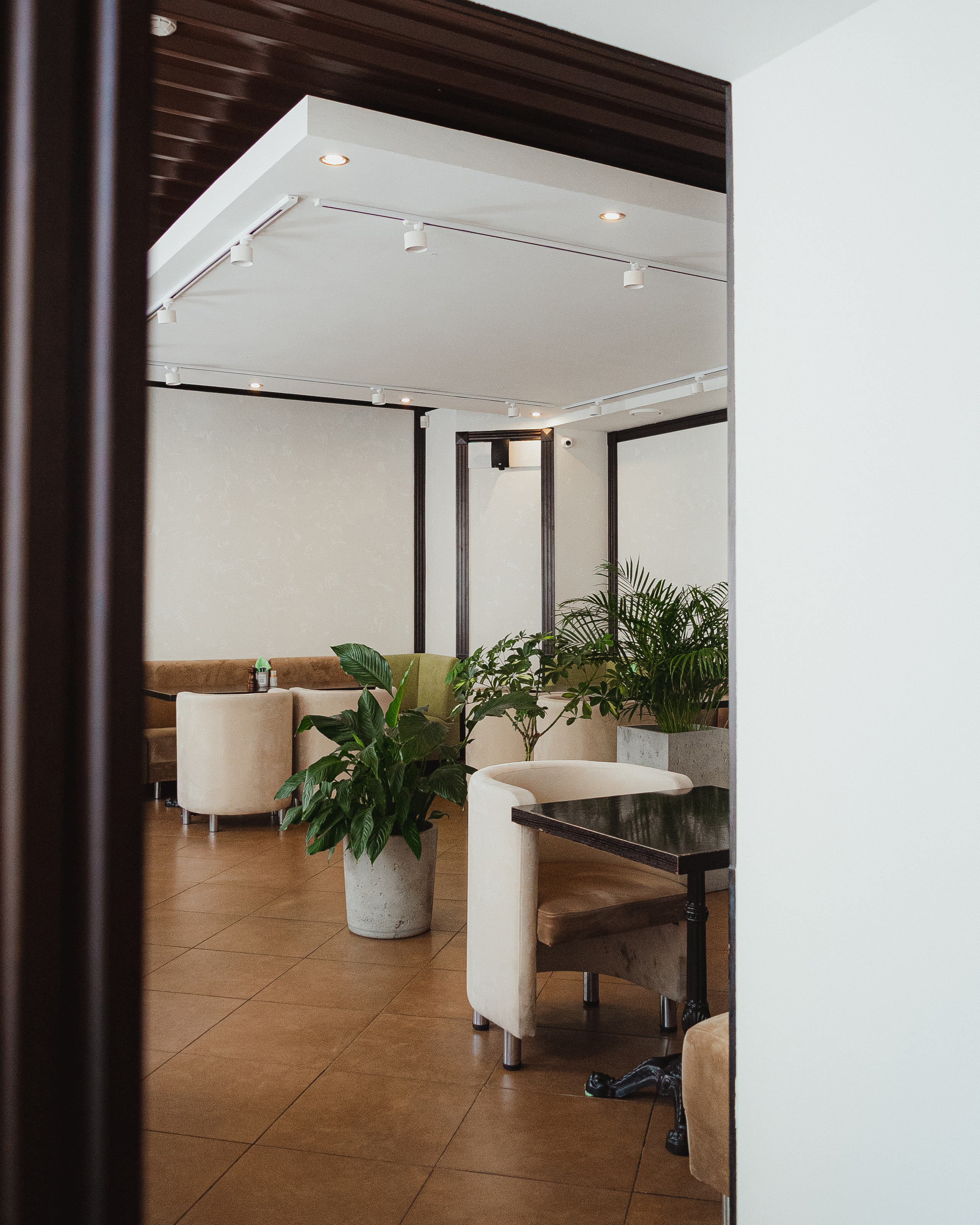 Lunga, сеть кофеен. Екатерина Курбанова. Женский фотограф