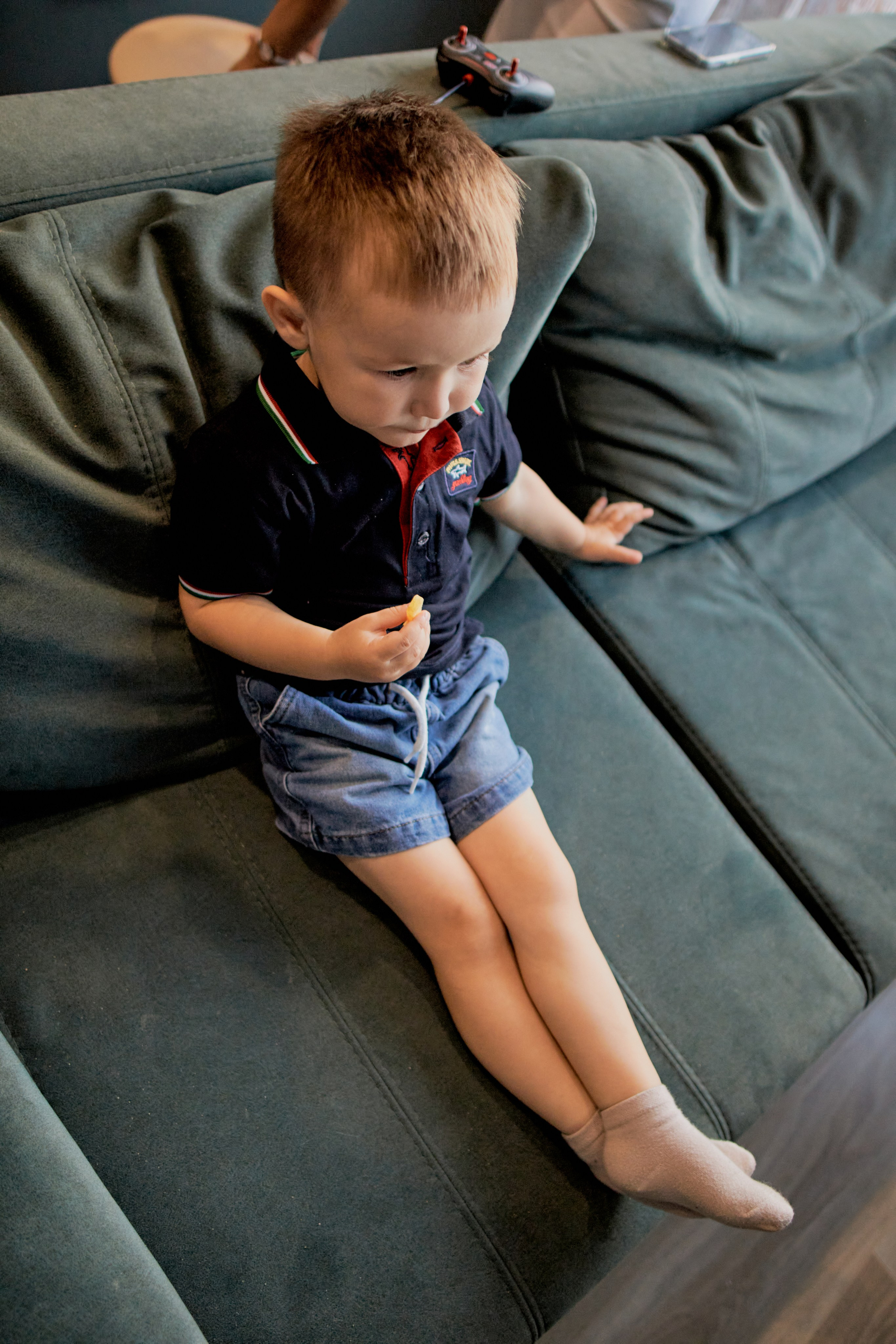 Три кота. Фотограф Москва