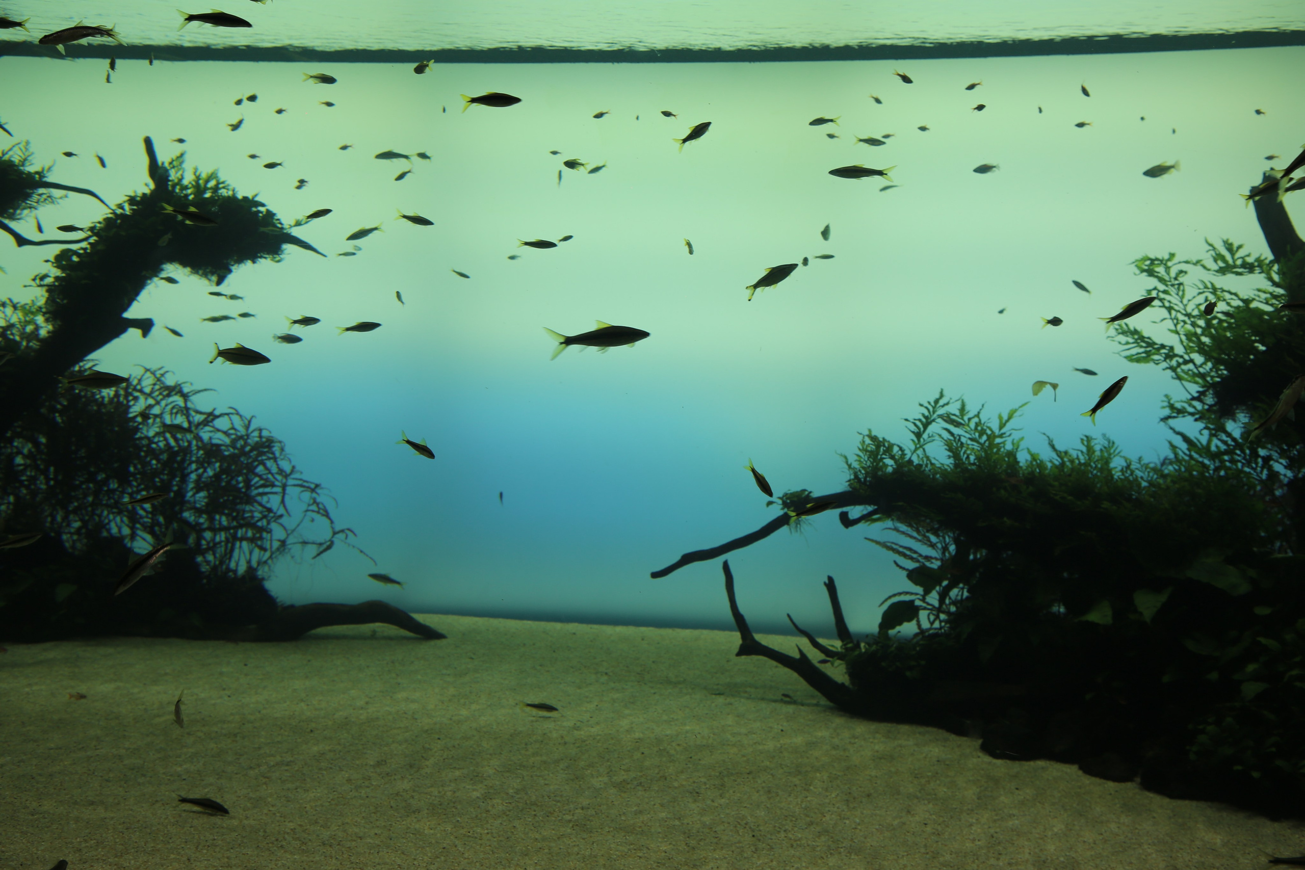 Lisbon, Portugal. Andrey Filippov Photographer