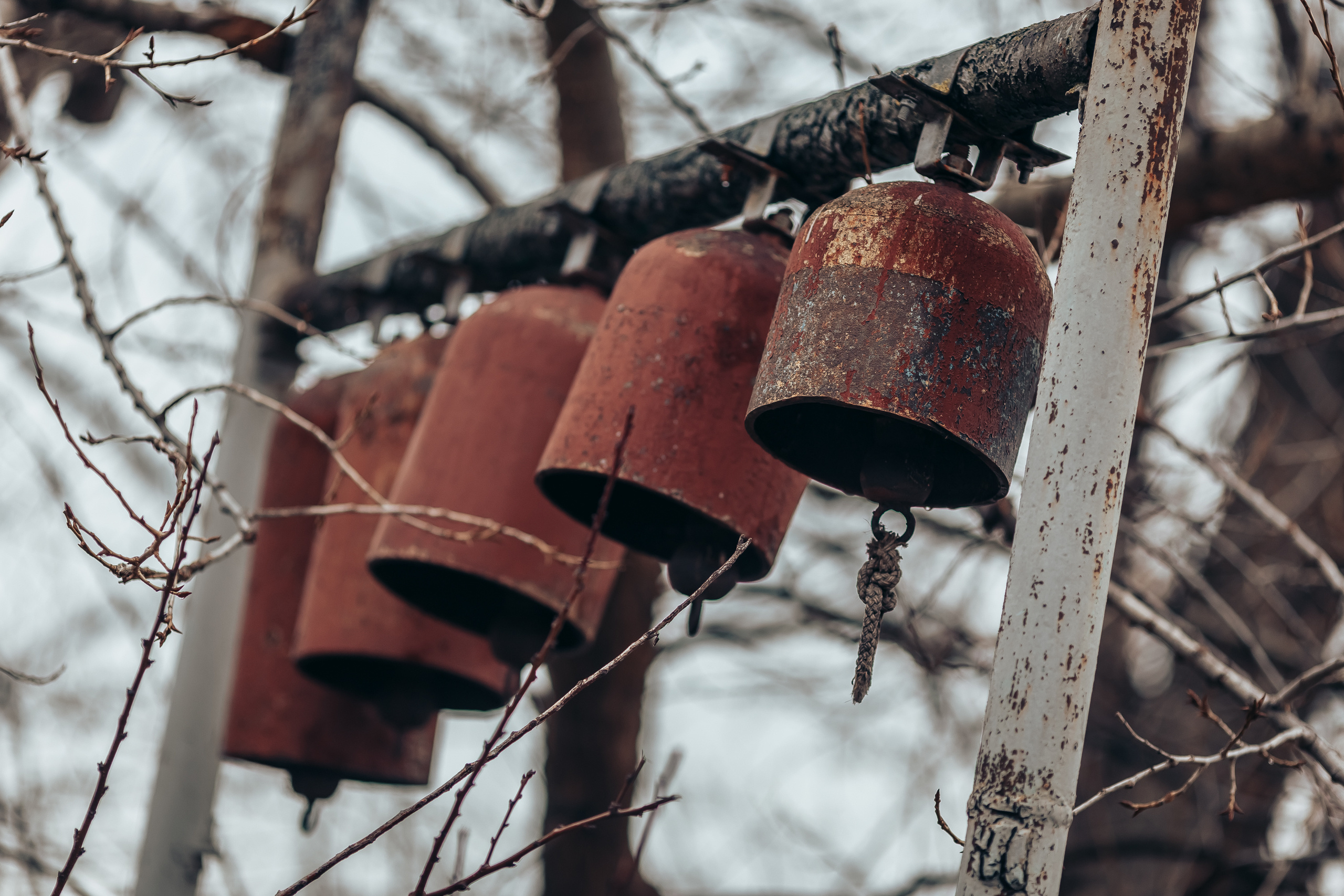 Крещение Вероники. Свадебный фотограф в Краснодаре Николай Крауз