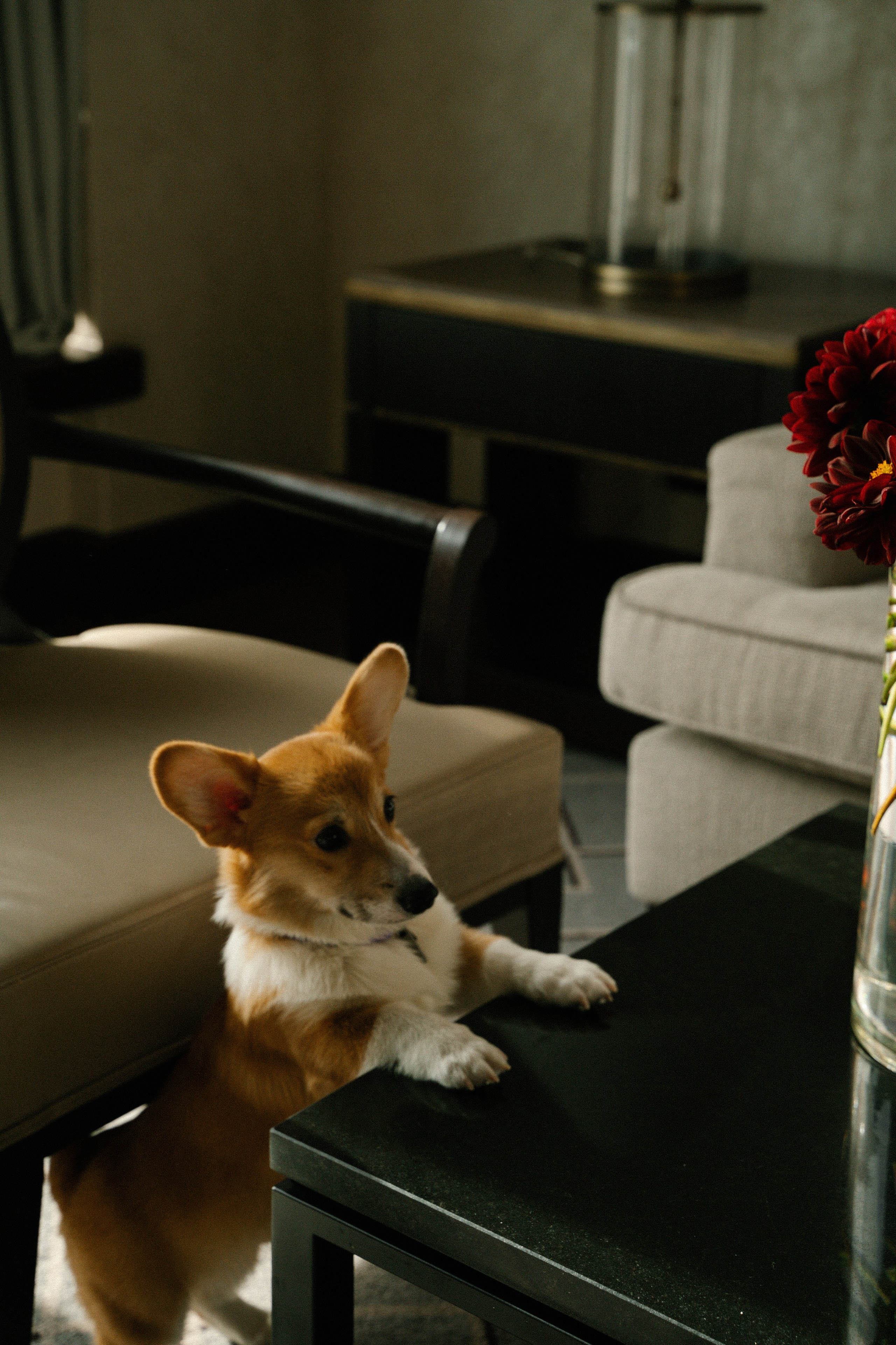 Вегас. Главная