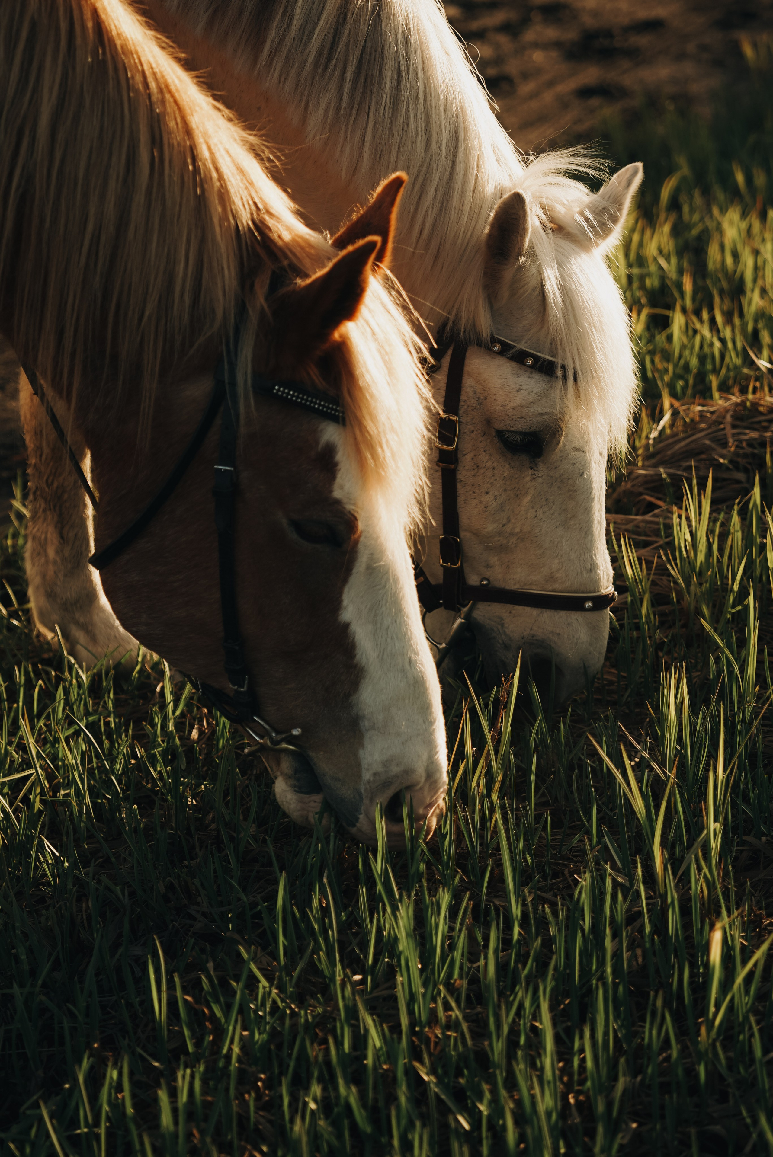 Индивидуальные. Фотограф на Камчатке Воронина Ульяна