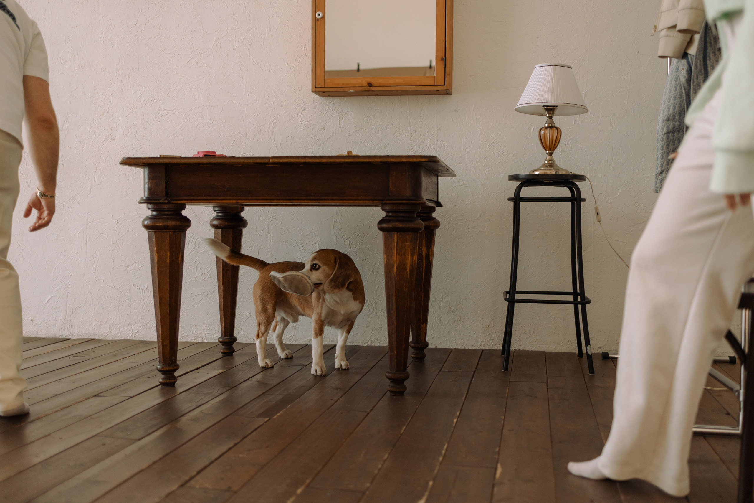 Даня и его семья. Фотограф — Анималист | Санкт-Петербург