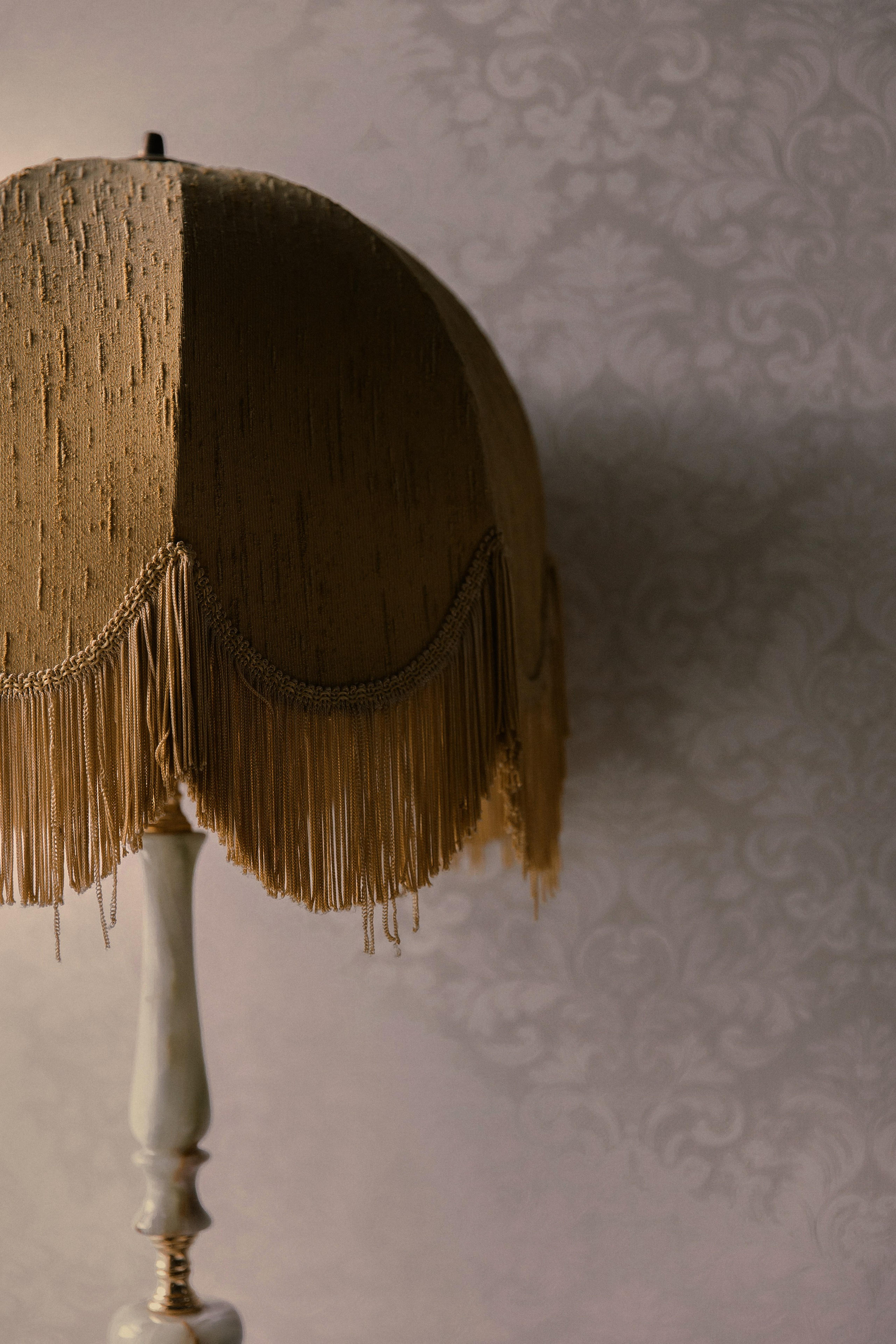 1881. Фотограф Елена Краснопевцева