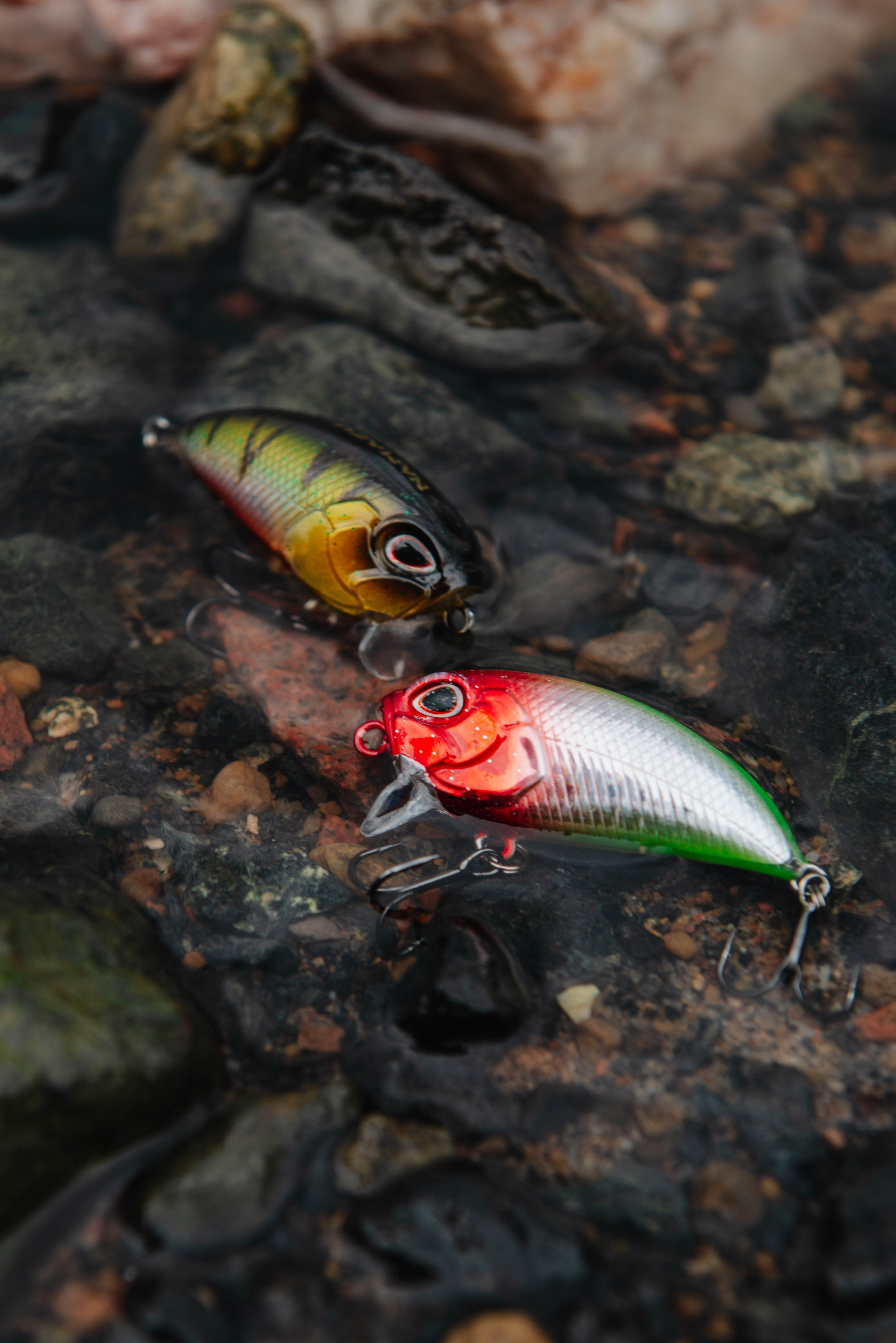 Каталог. Фотограф Фирсанова Алина