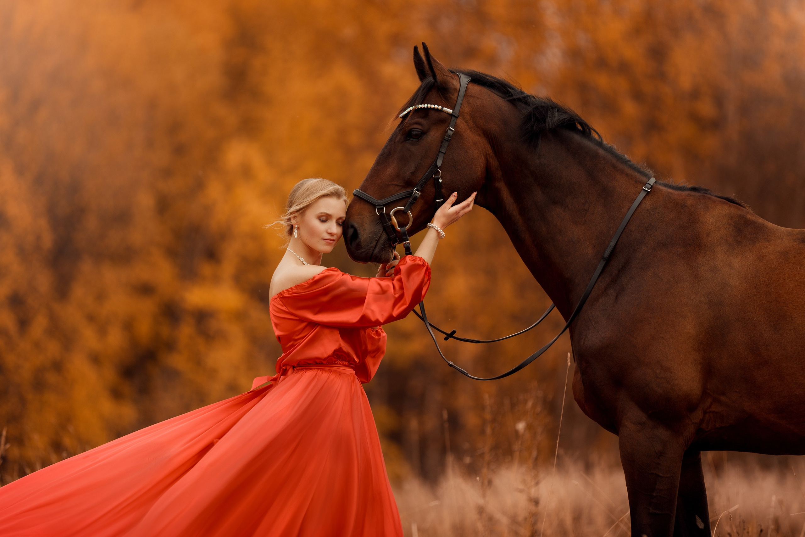 Фотосессии с лошадьми. Фотограф Артемьева Катерина|фотосессии с лошадьми