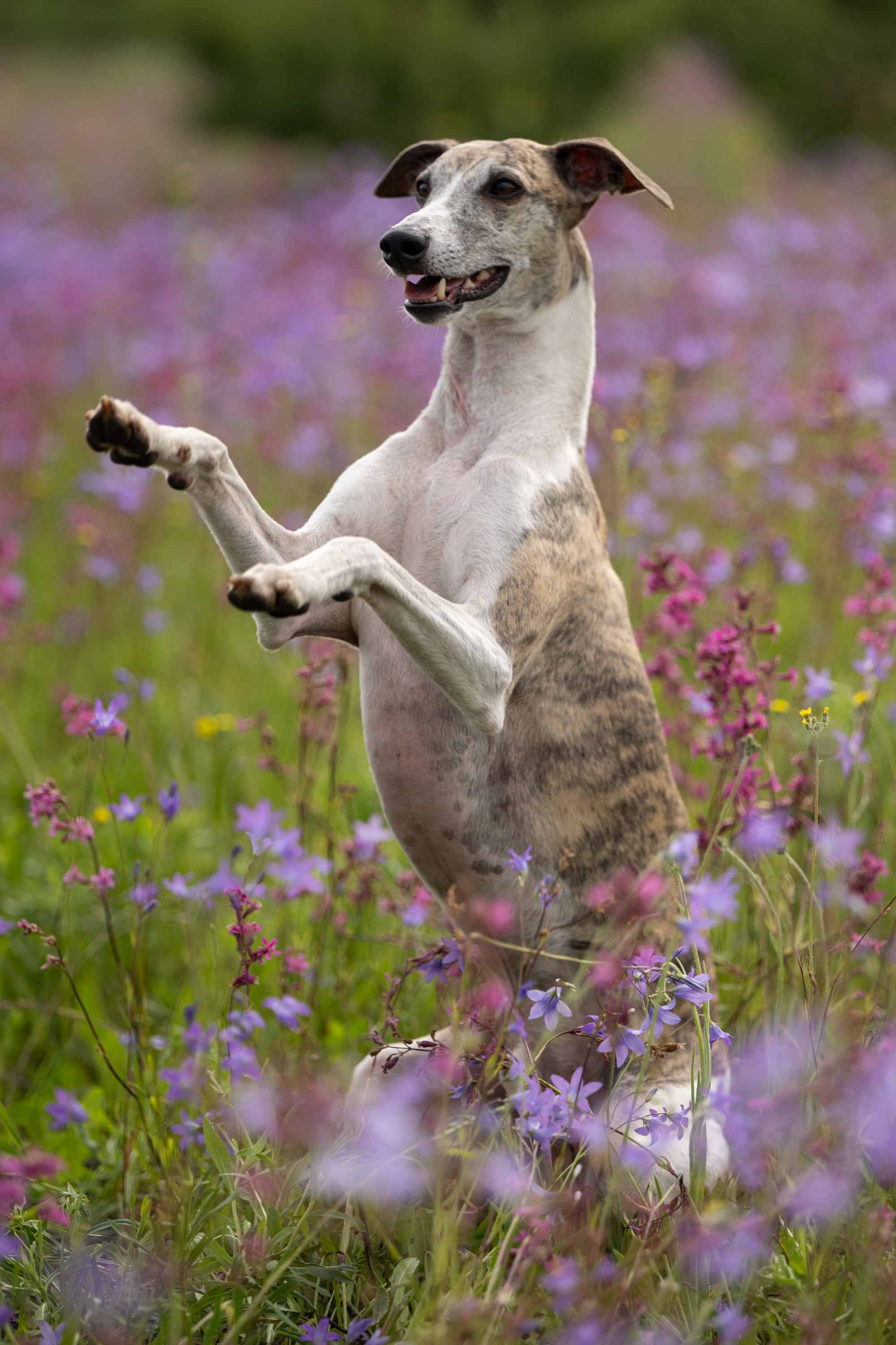 Рыбацкая деревня и Маяк 6 июня 2024. -