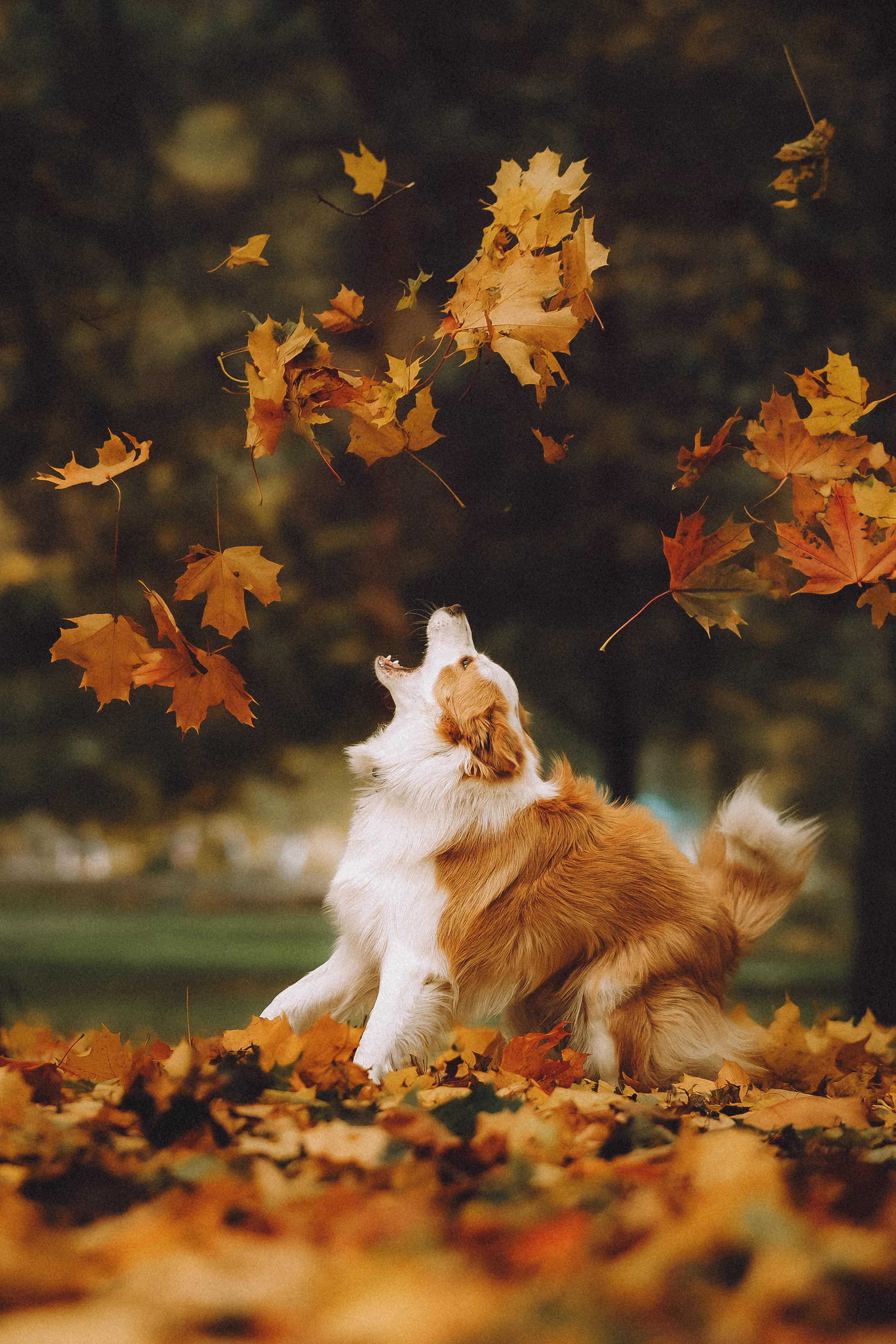 Алина, Витя и Асти