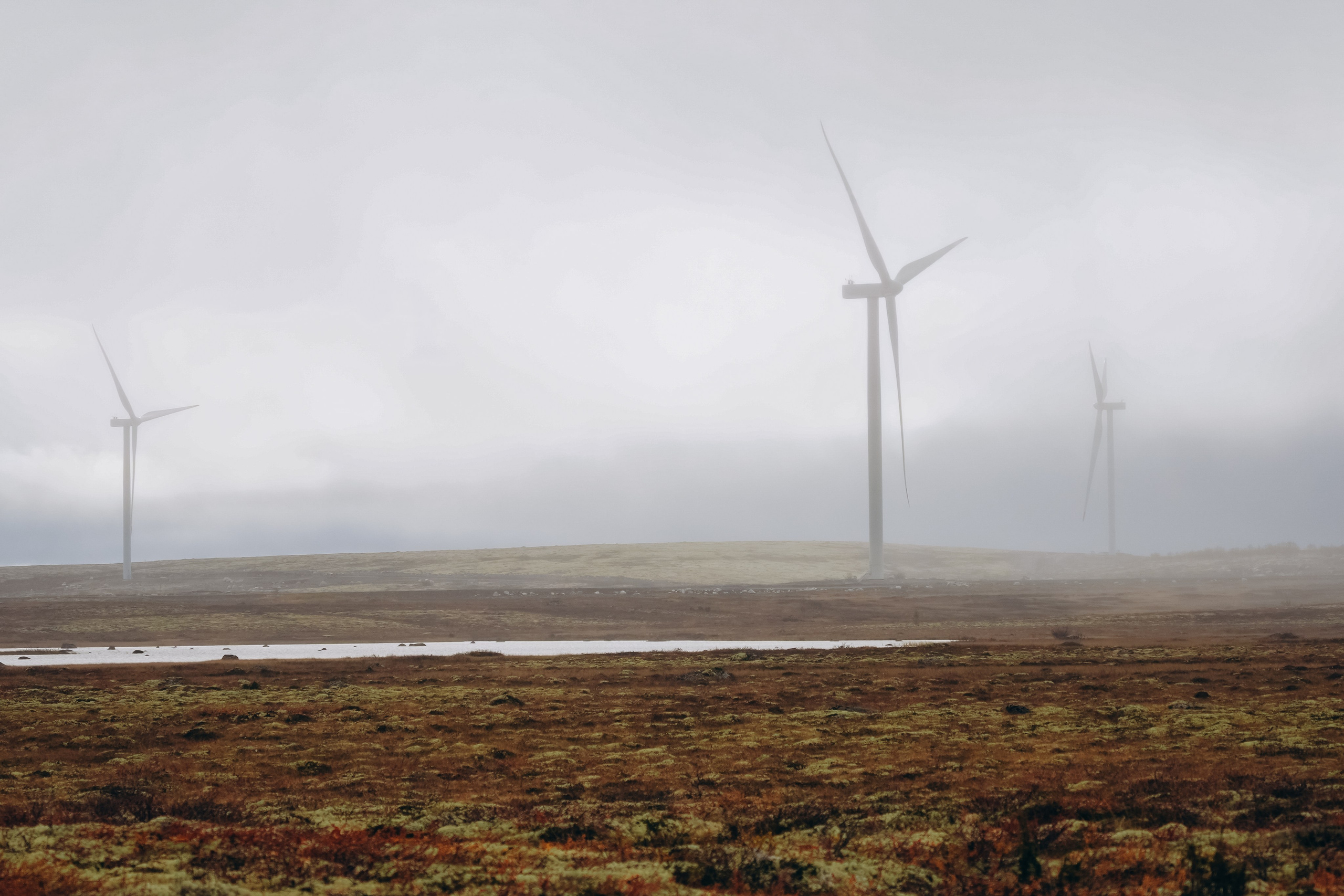 СЕВЕР. Event фотограф Степанова Александра