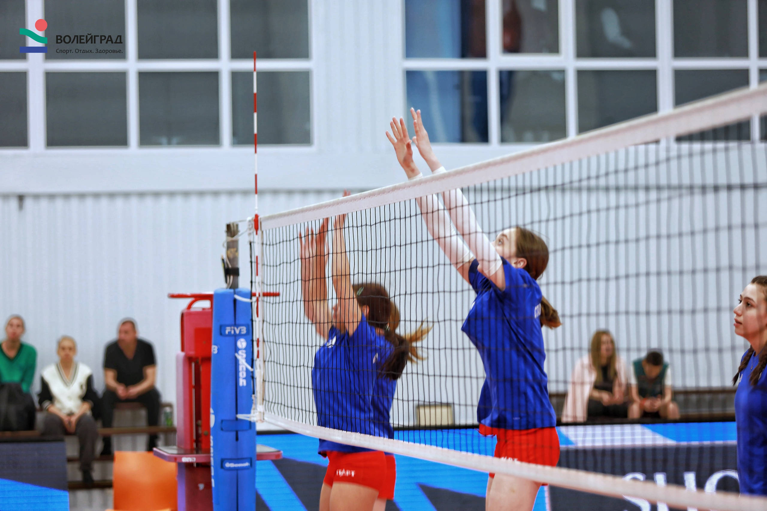 Волейбол ВФВ 05.04.24. Репортажный фотограф Анапа
