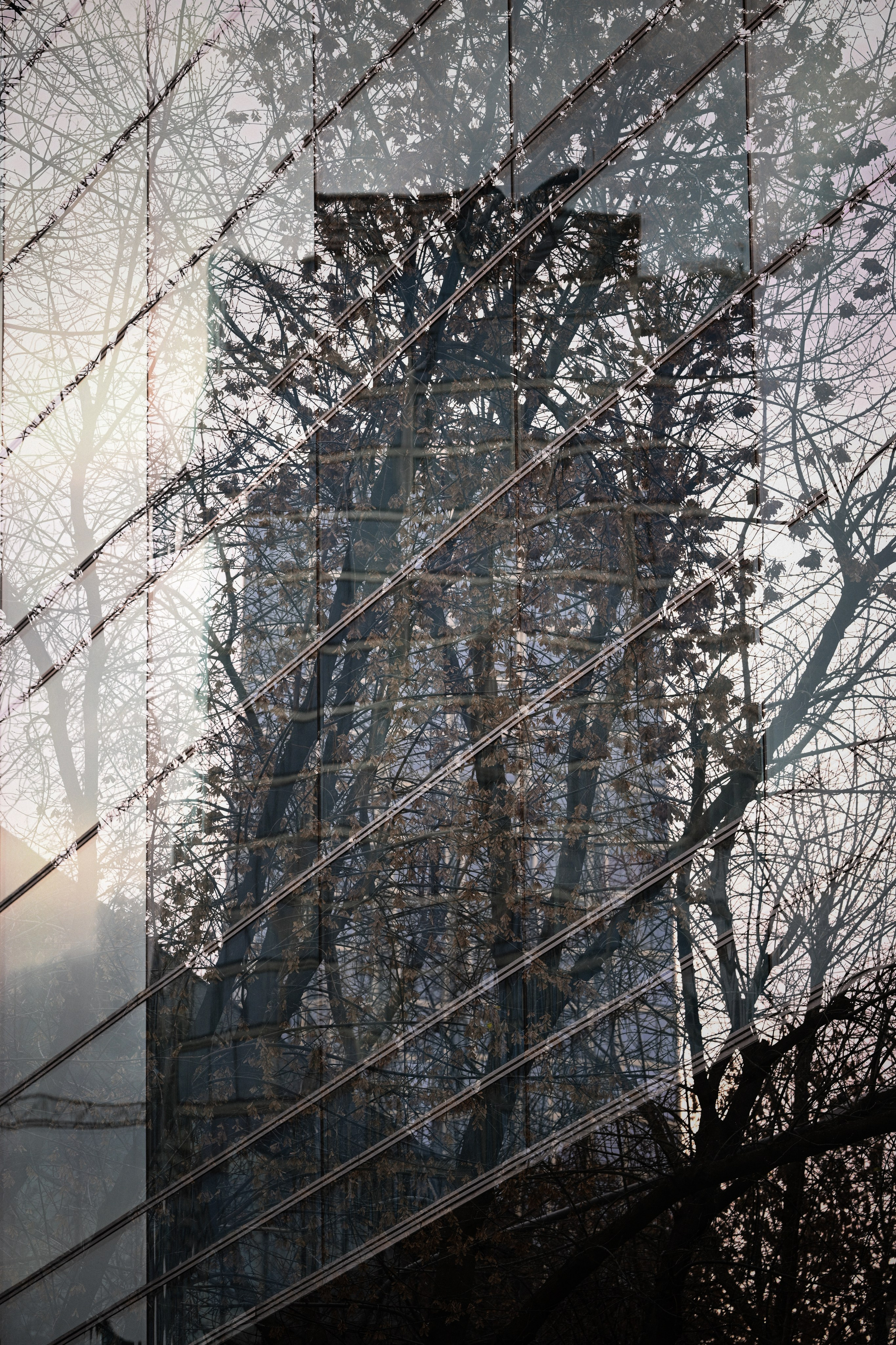 «Диалог с городом». Авторские стильные фотокартины