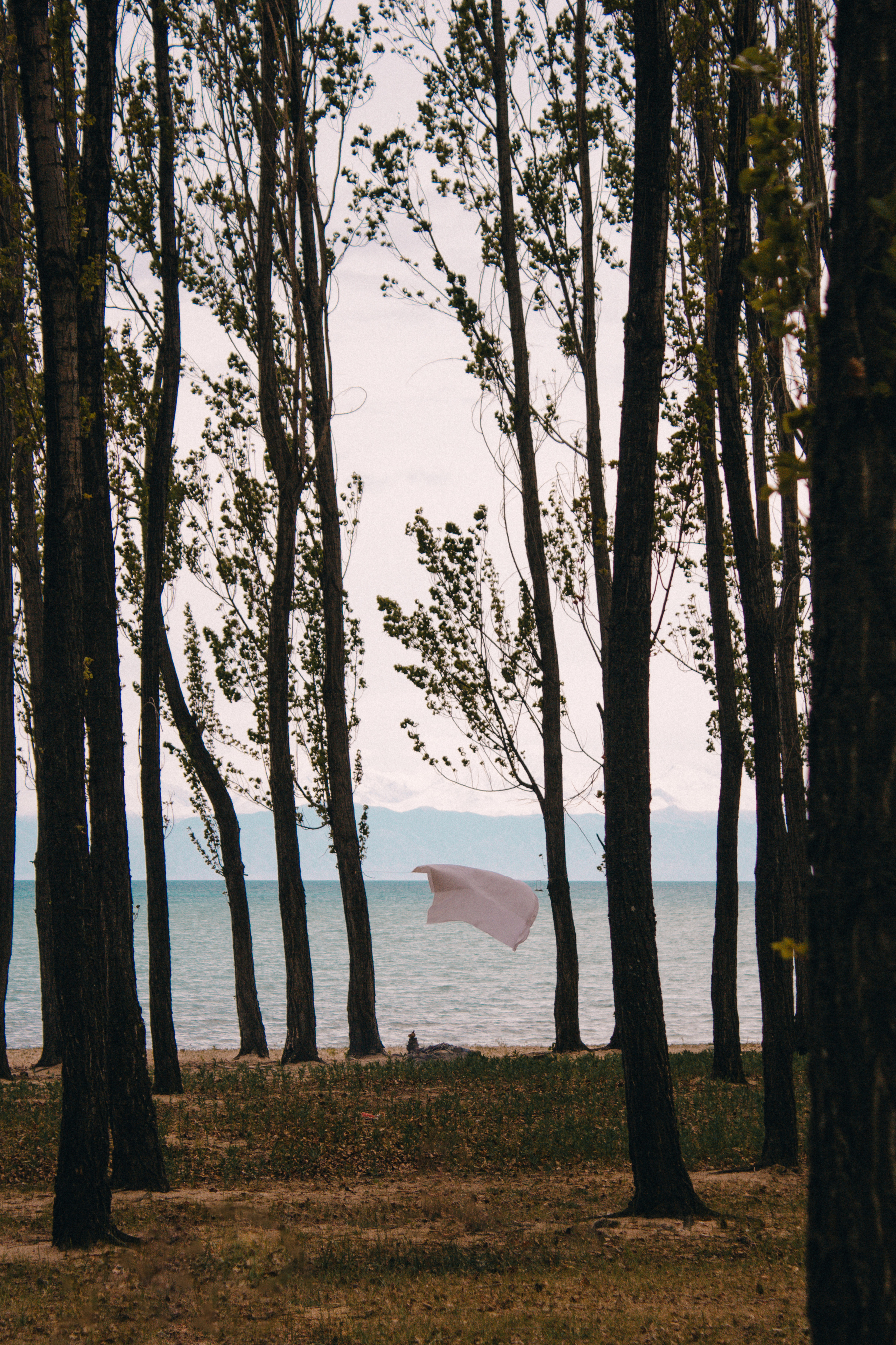 Настя.Ткань. Natalya Bondareva Photographу