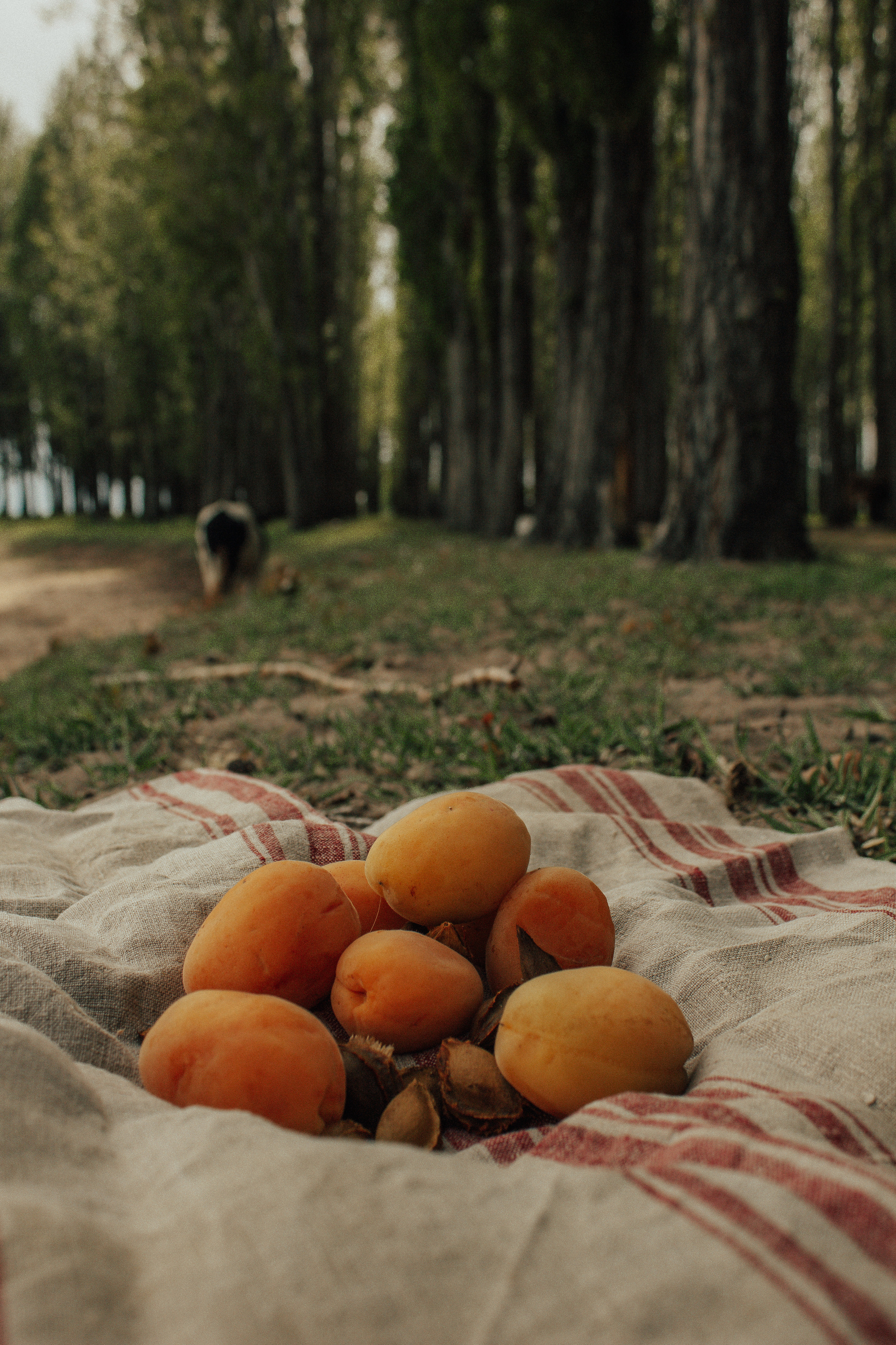 Анастасия. Natalya Bondareva Photographу