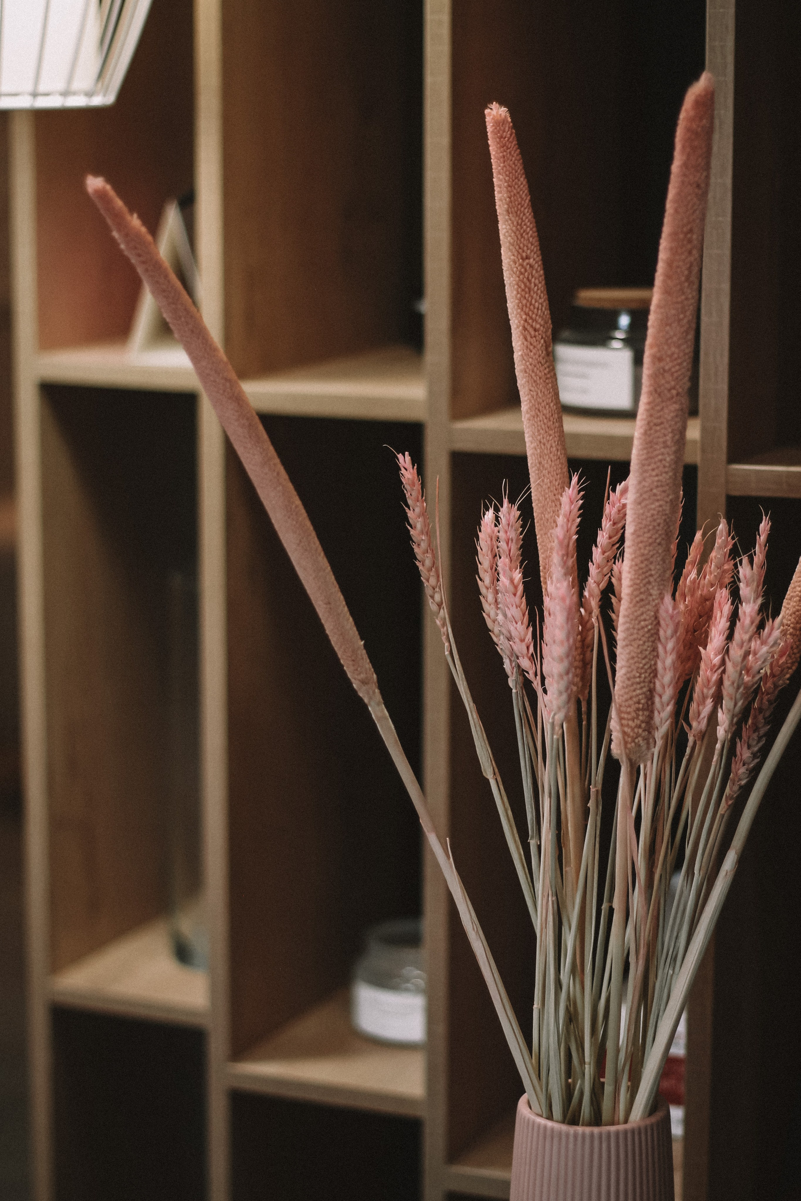 Контент-съемка. Фотограф в Калининграде, Софья Вологдина