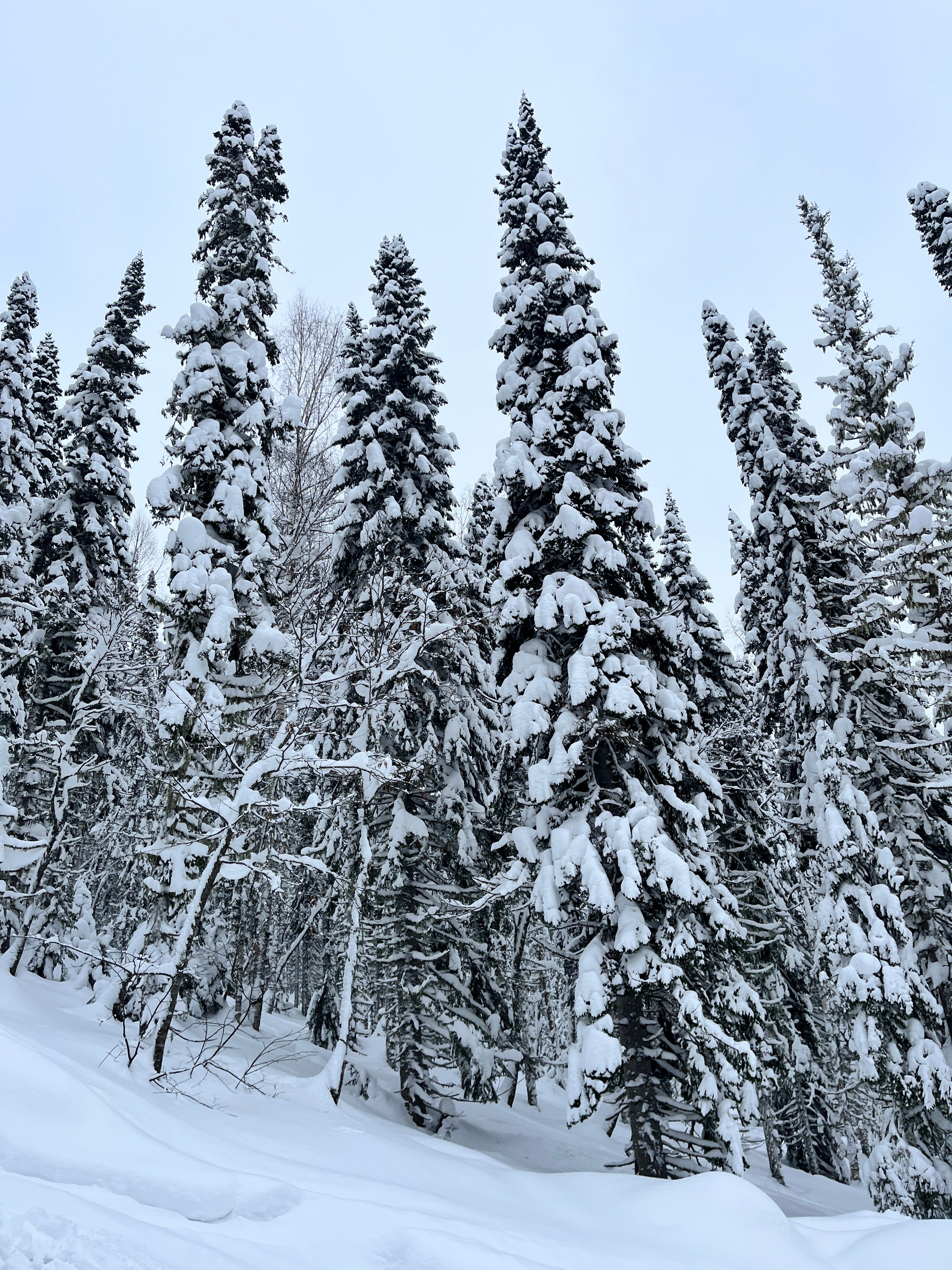 Горнолыжный тур в Шерегеш из Уфы — Время Приключений