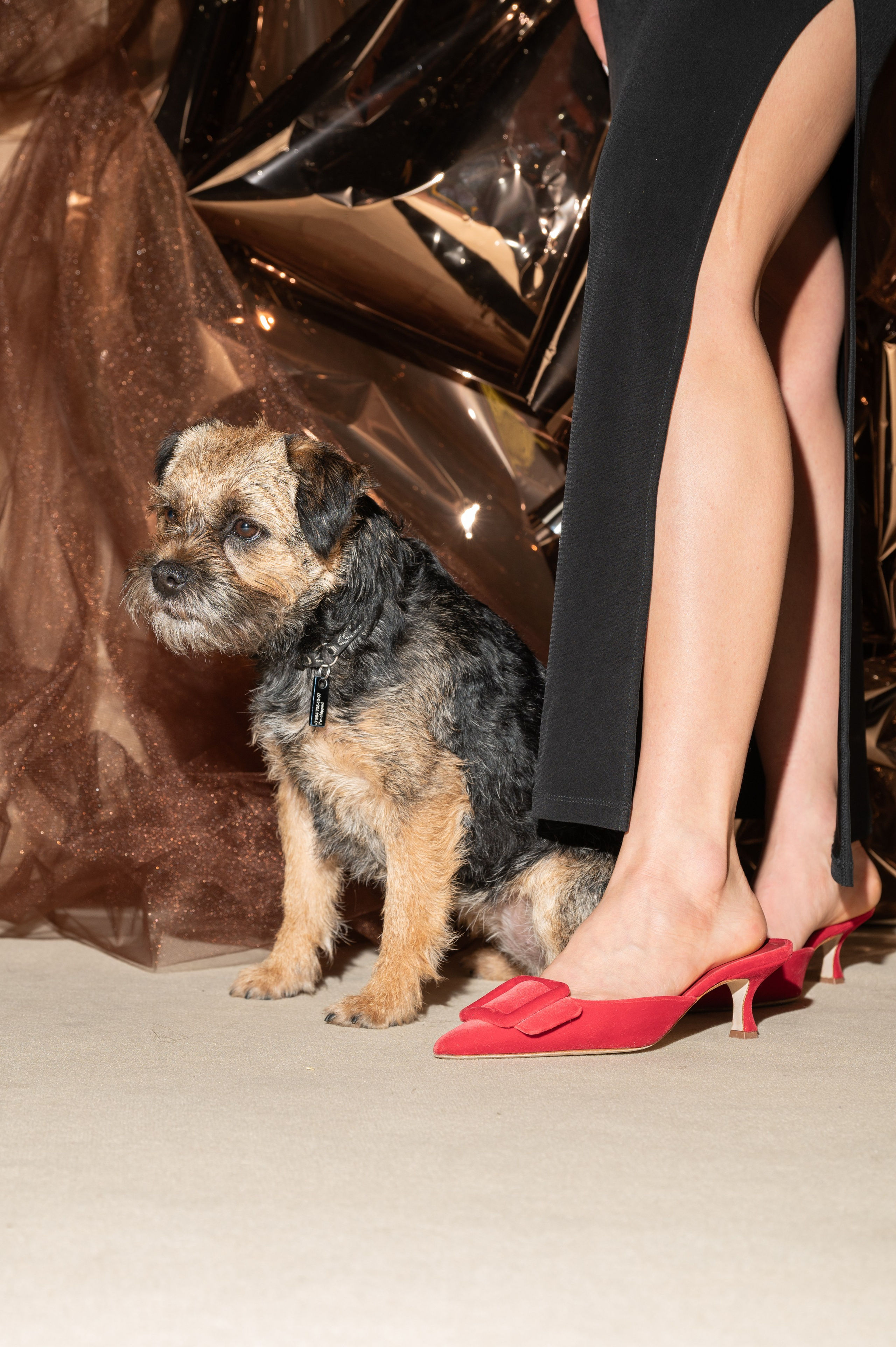 8 марта в студии Артемия Лебедева. Фотограф Лобанов Антон, г. Москва