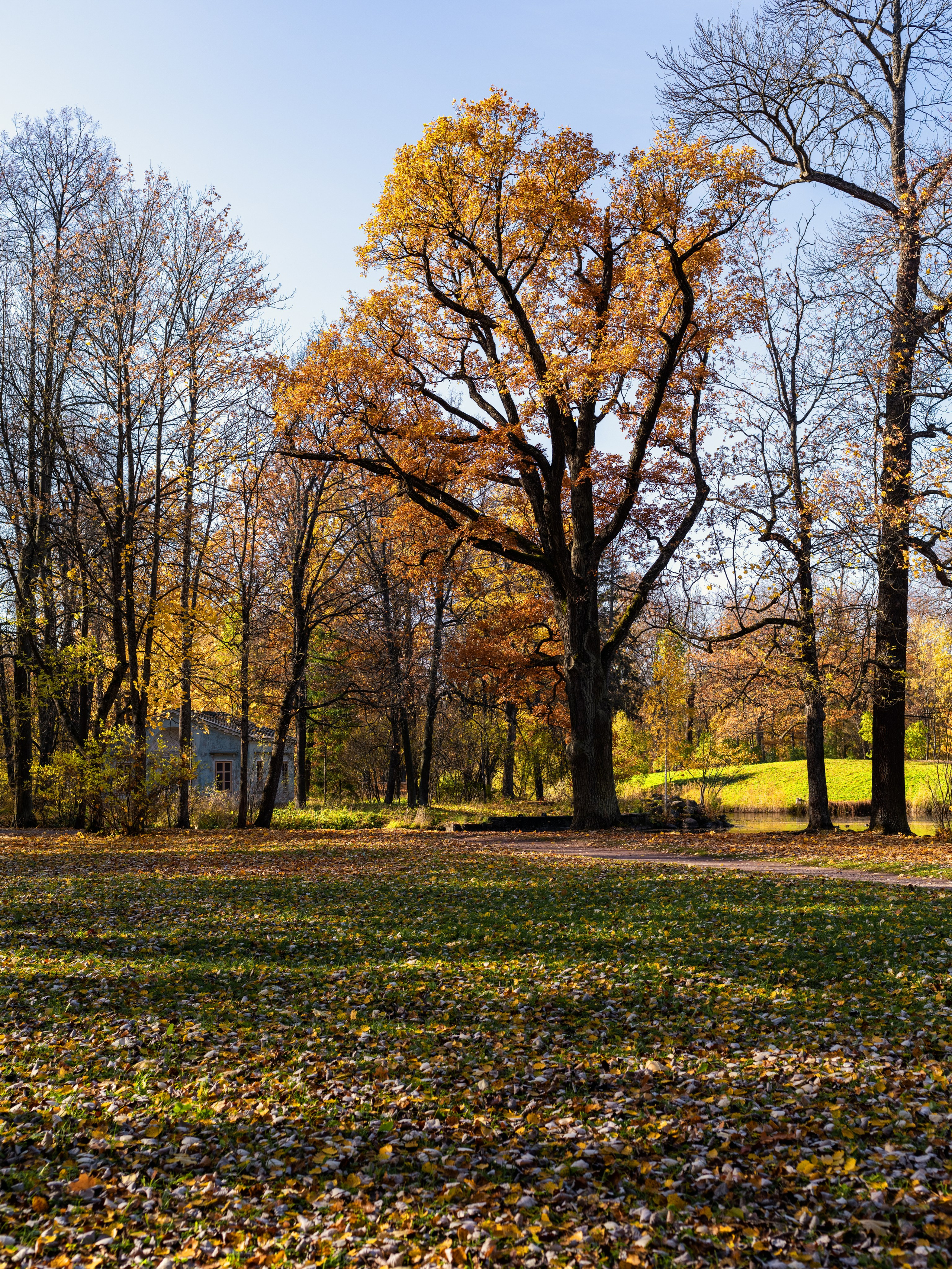 Царское село. Пейзажный и семейный фотограф в Санкт-Петербурге Александр Белов