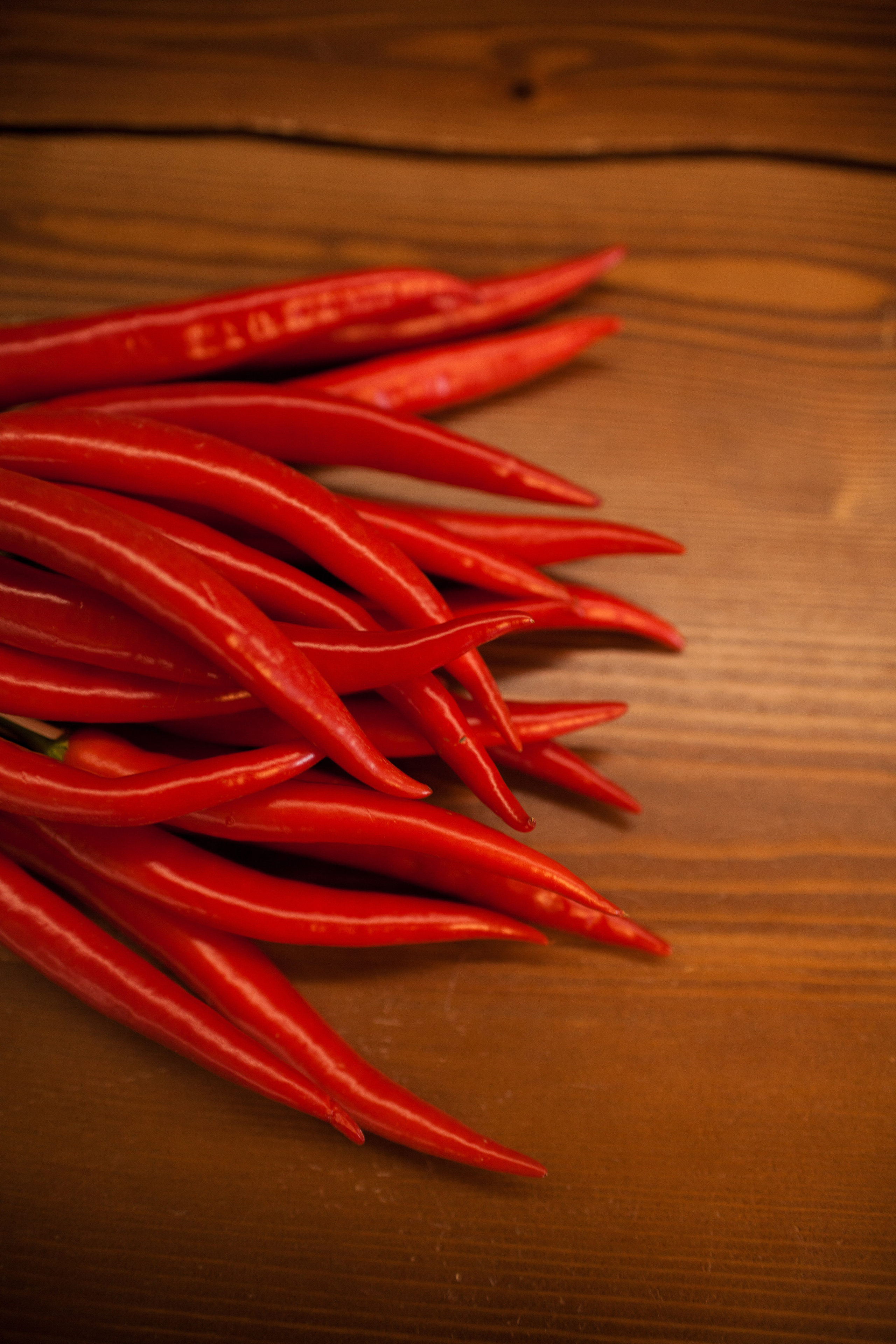 Предметка. Фотограф Татьяна Воронова, Детские и Семейные фото