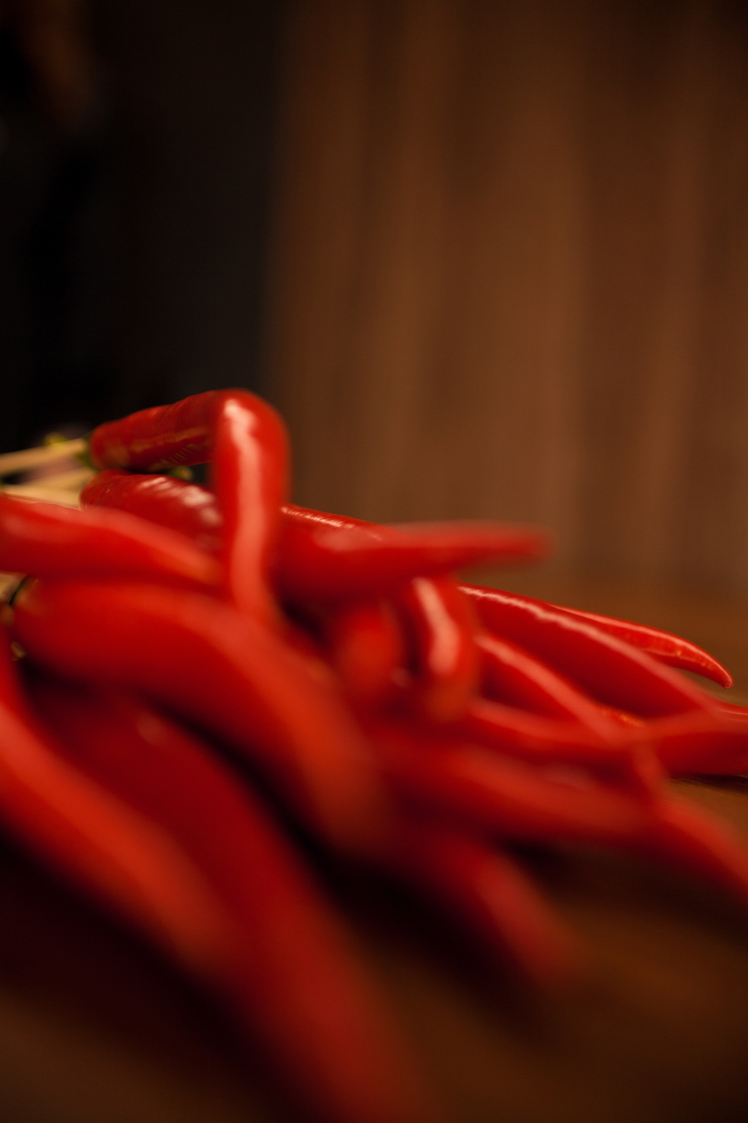 Предметка. Фотограф Татьяна Воронова, Детские и Семейные фото