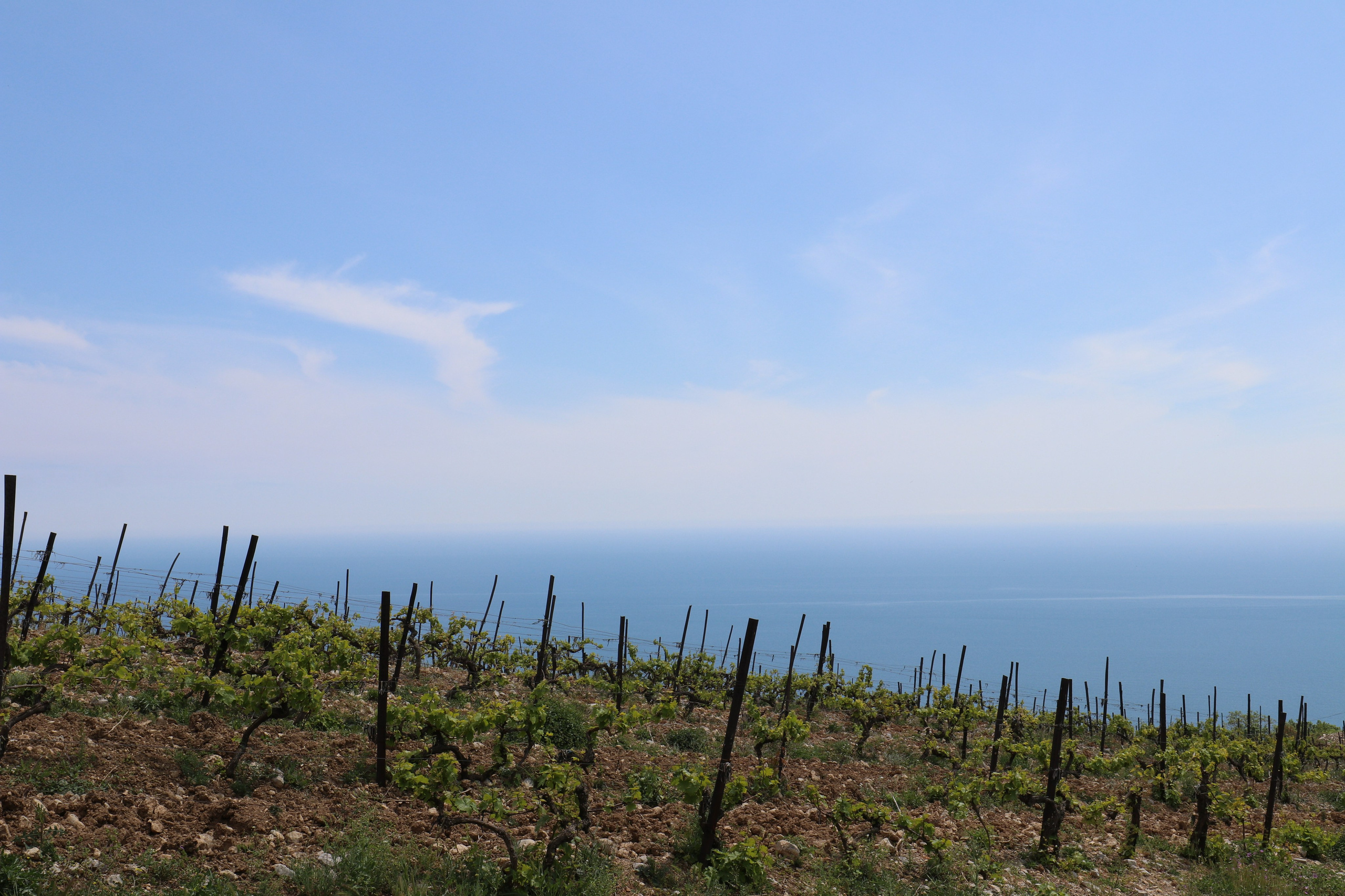 Крым. ЮБК (Бахчисарай, Демерджи, Судак). Первый скалолазный выезд. Май 2019. Путешественник-фотограф из Санкт-Петербурга Татьяна Свистулина