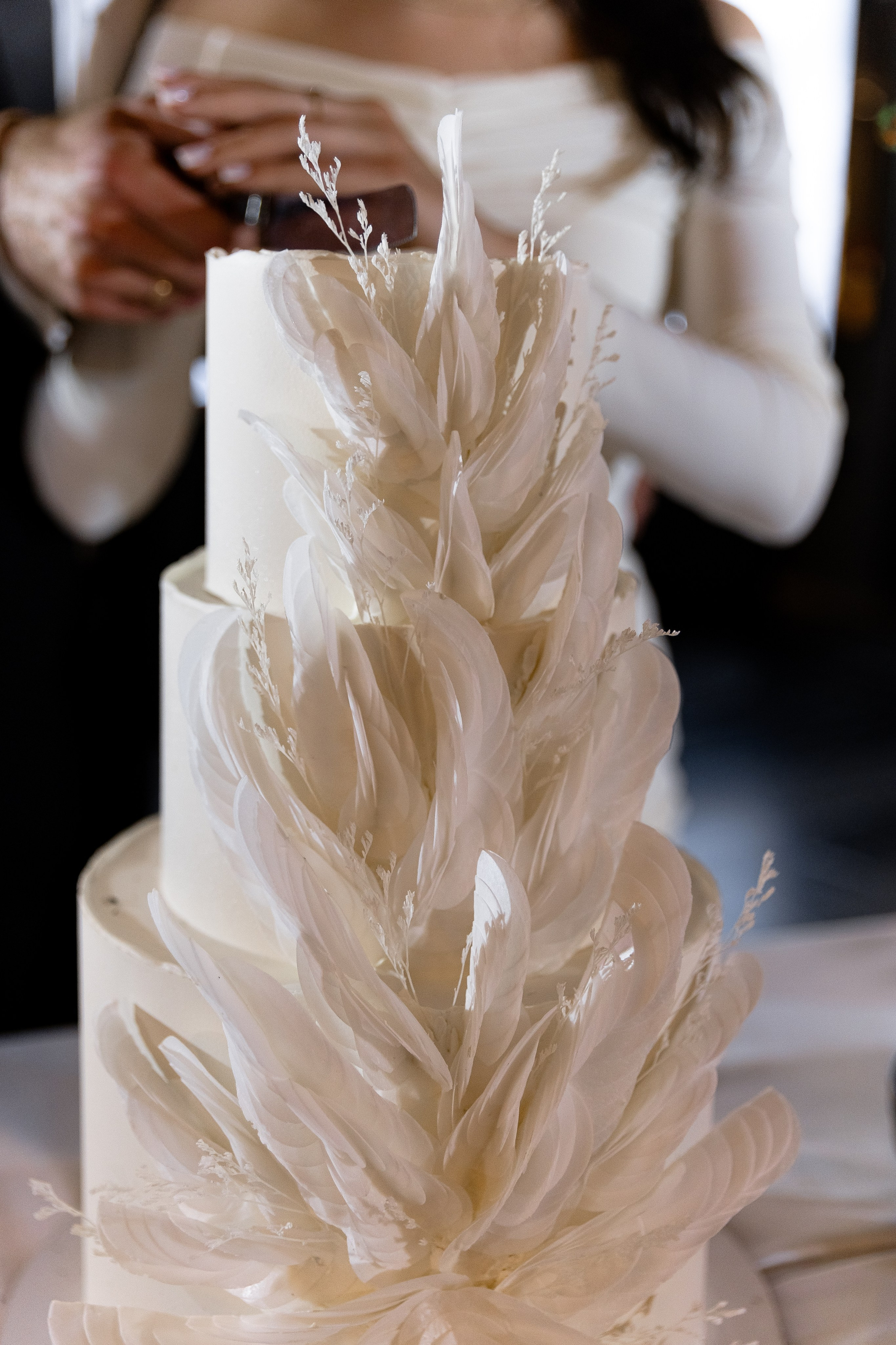 ALEXANDER|ALINA. Главная