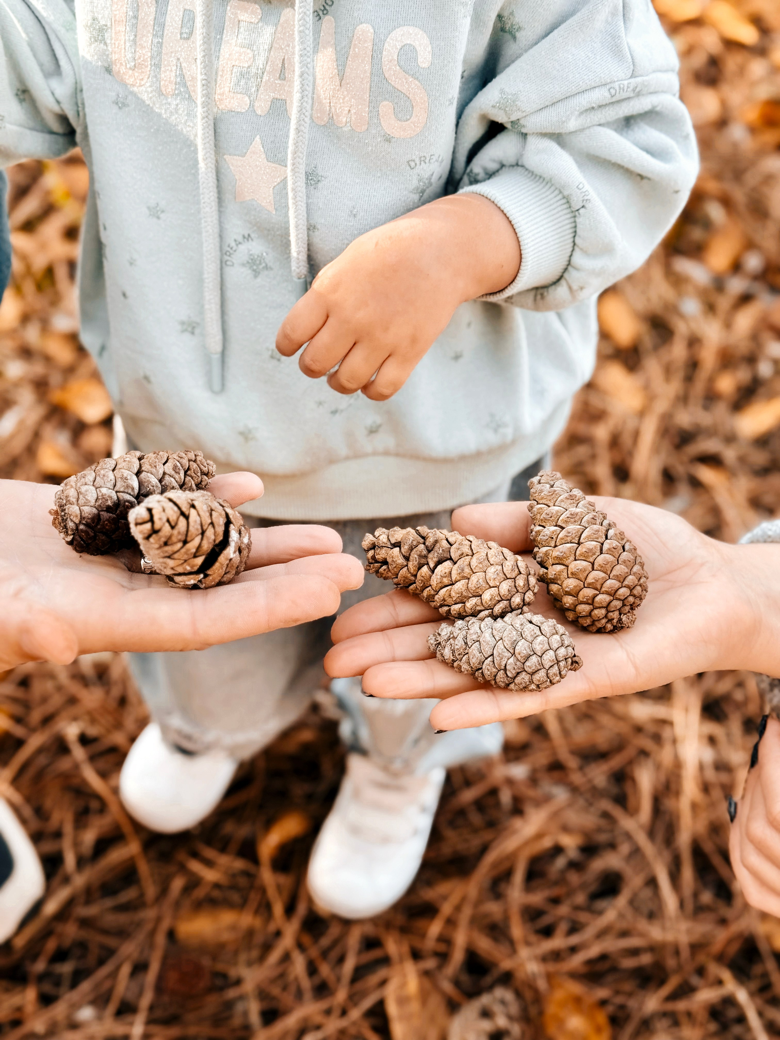 Семейные съемки. Семейный фотограф и рилсмейкер в Симферополе