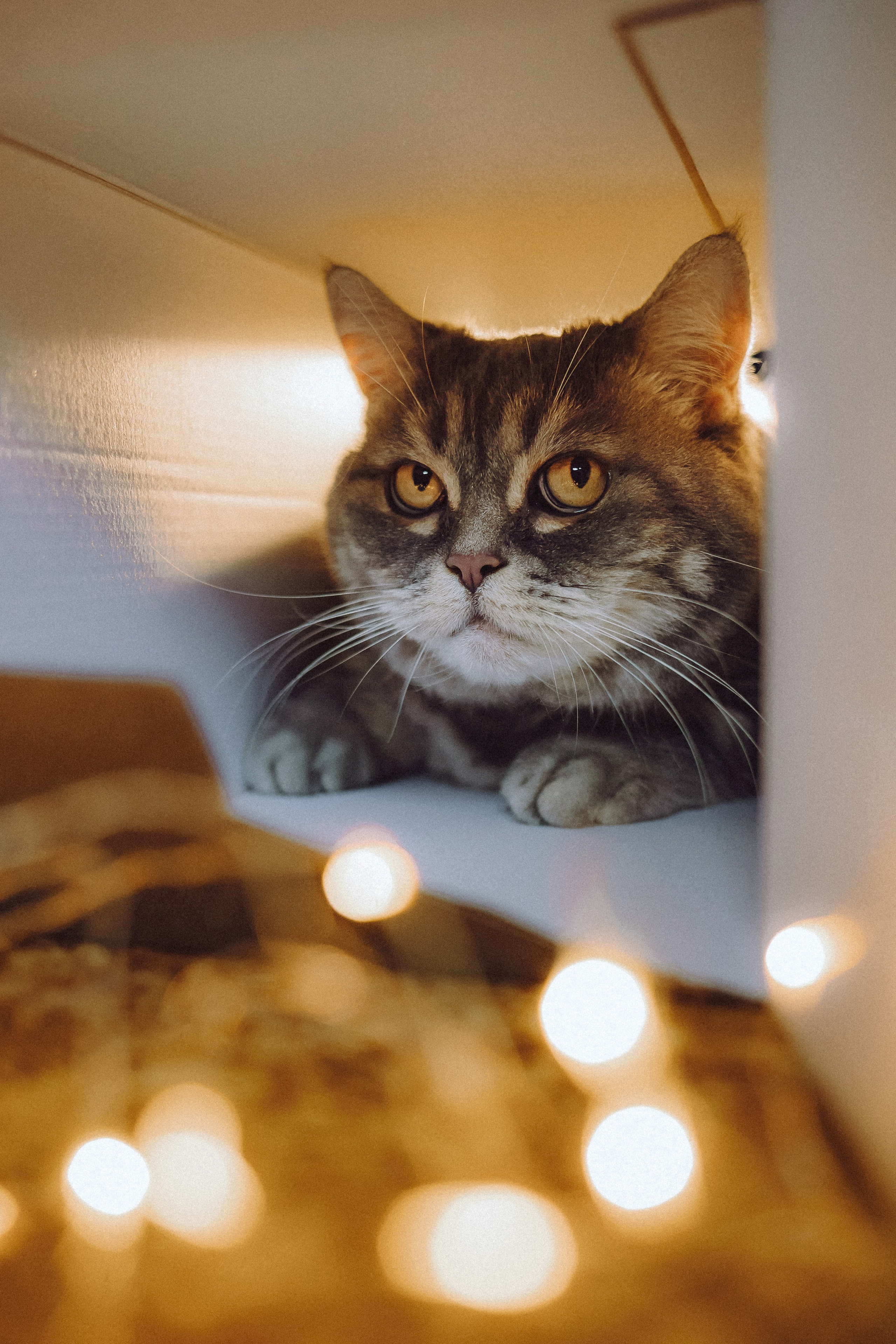 Яся и ее семья