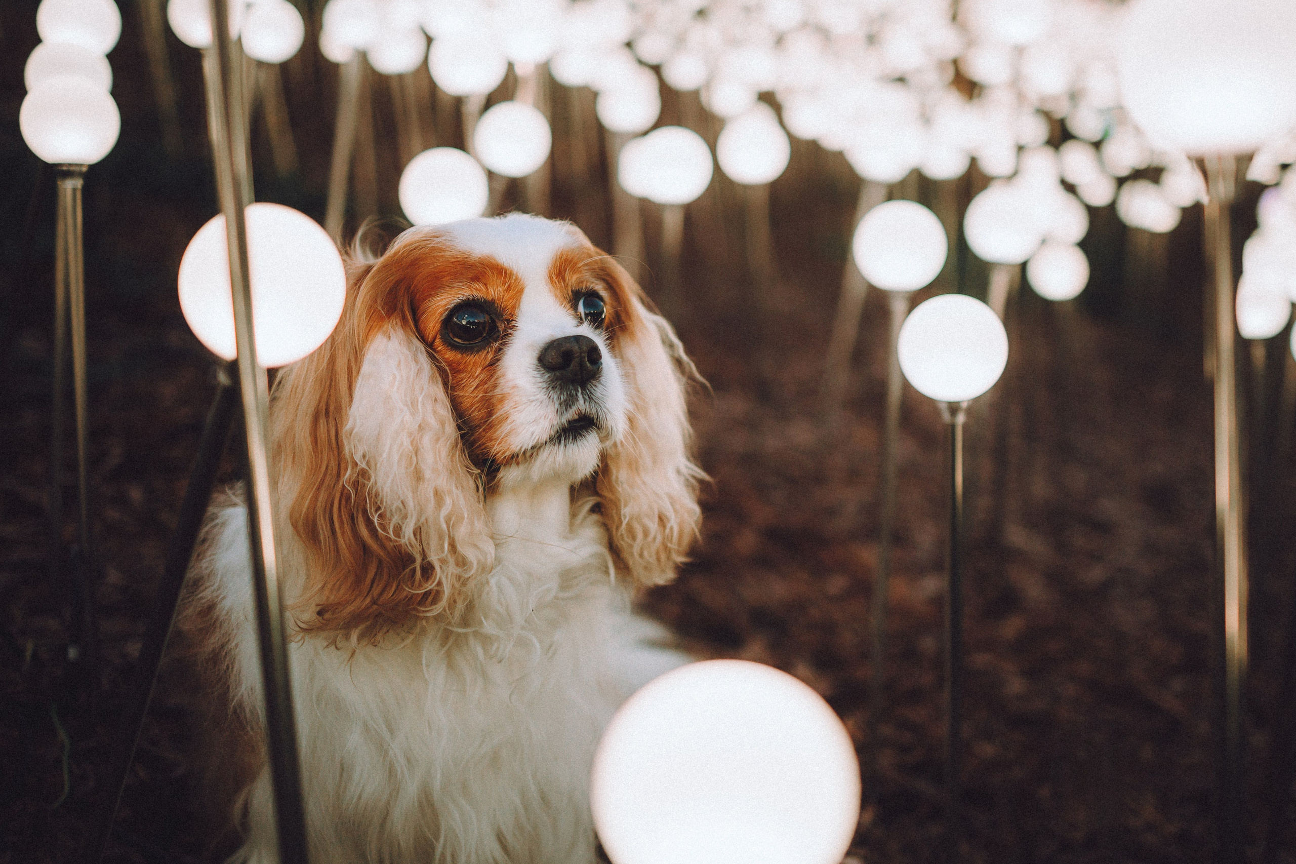 Наташа и Вики