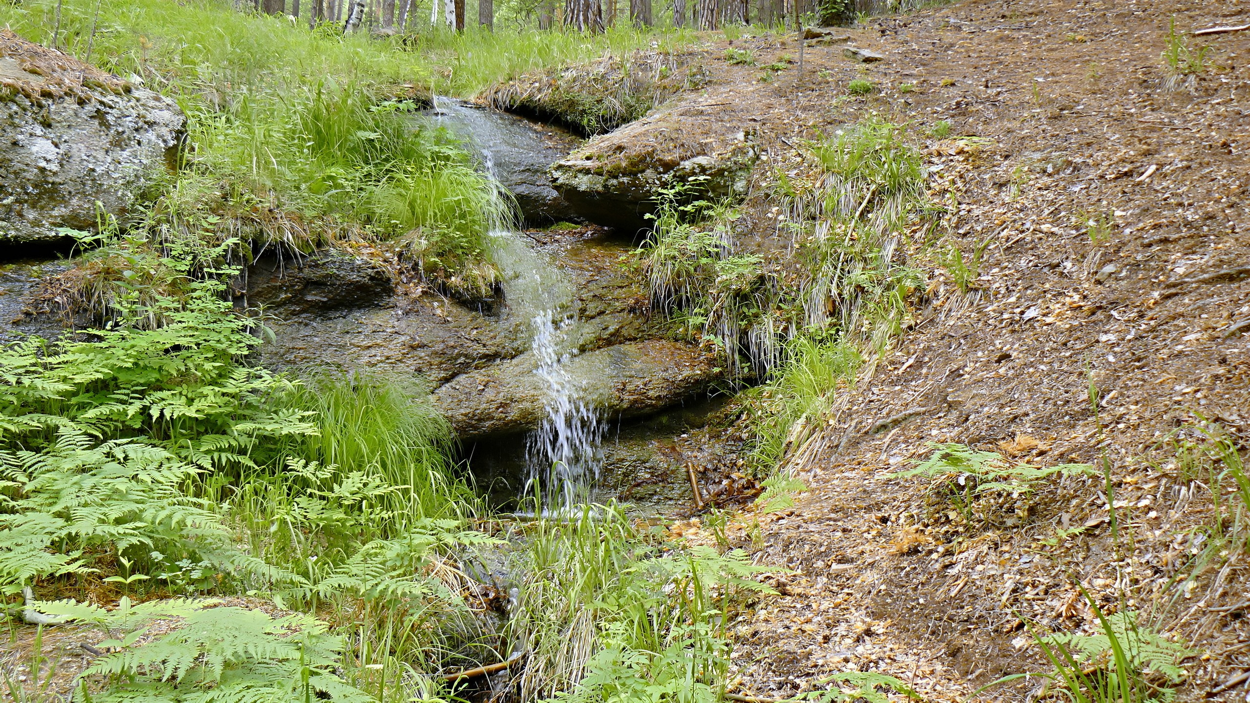 Боровое 2018 (из архива). Избранные фотографии