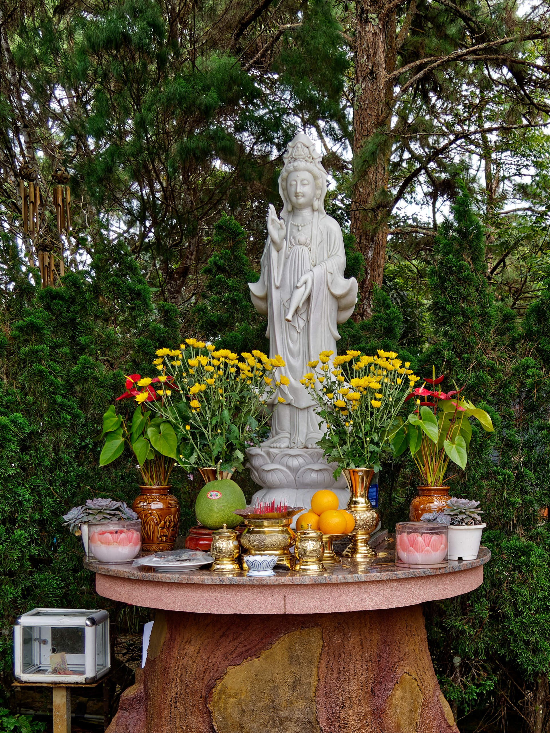 Далат 2023. Избранные фотографии