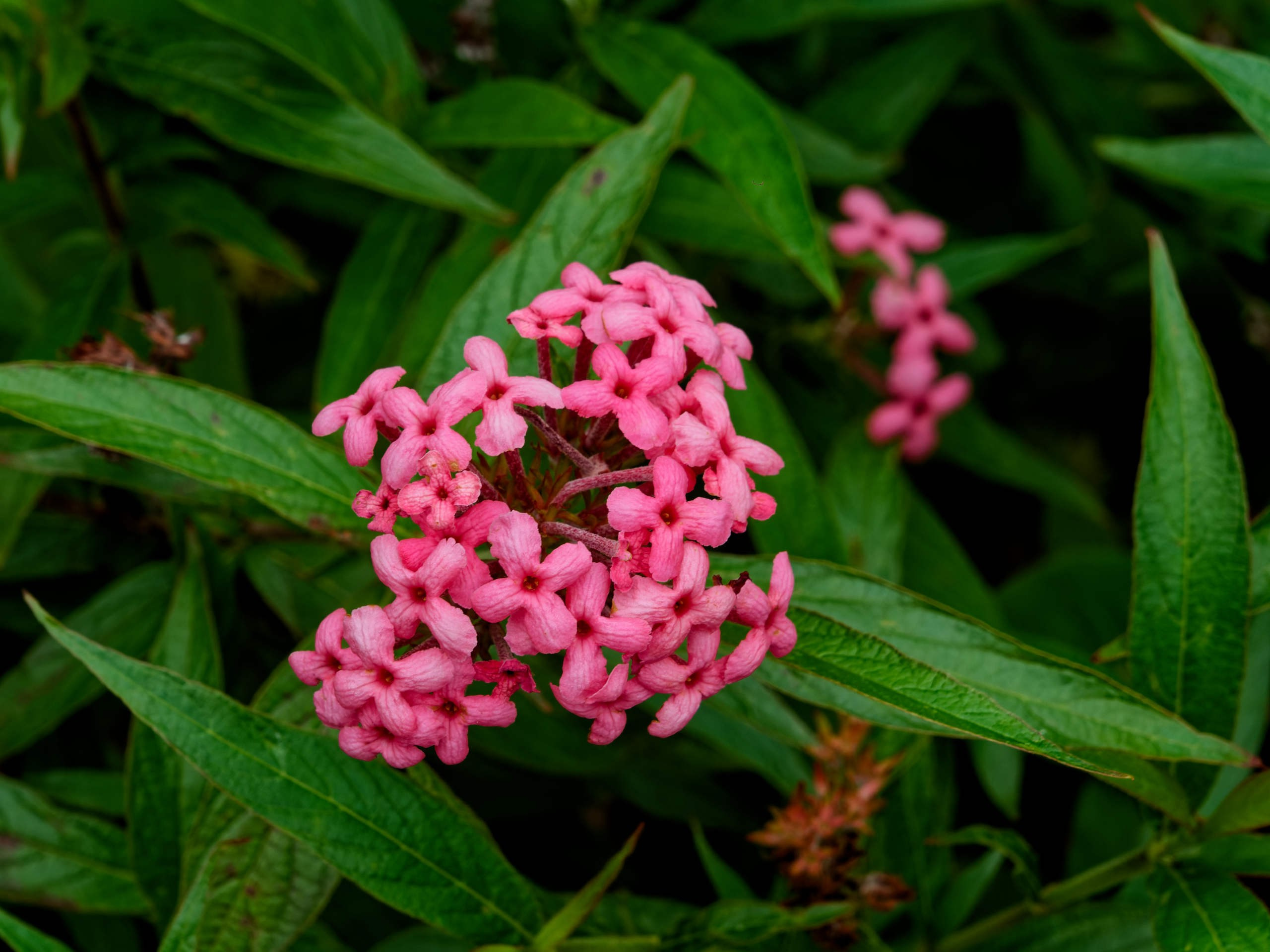 Нячанг 2025 (4). Избранные фотографии