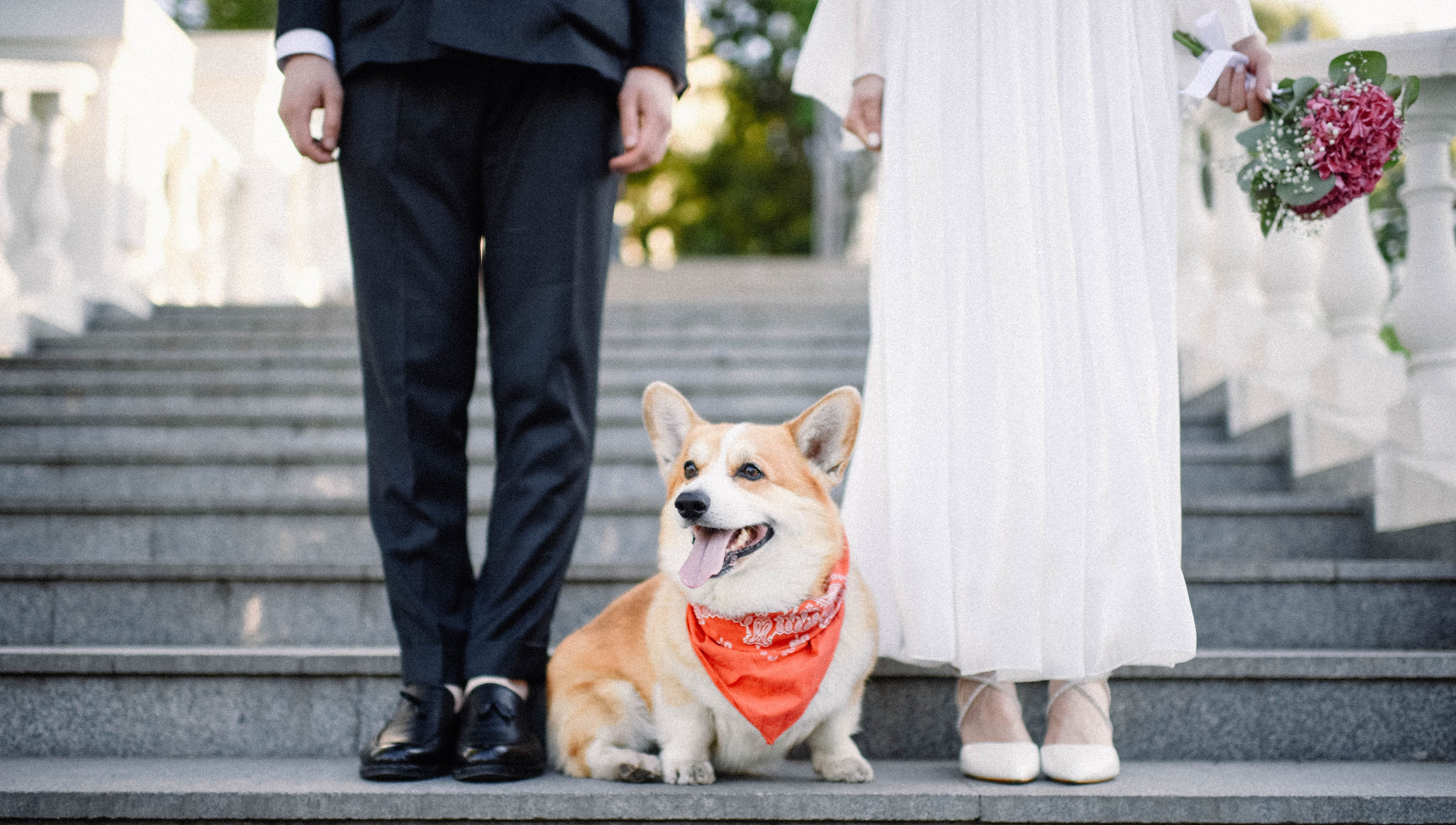 Александр и Гулизар. Главная