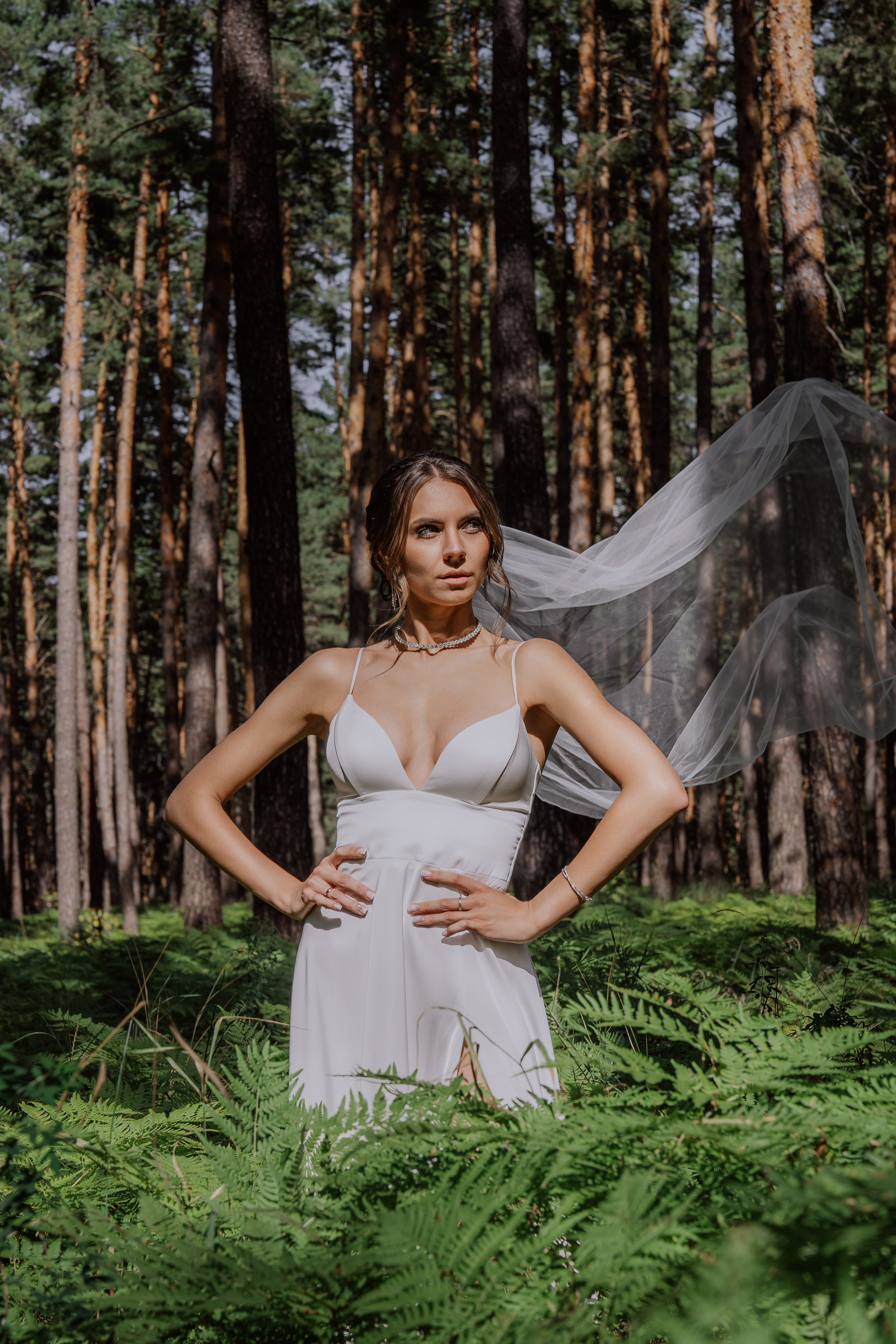 Сергей и Вероника 2024