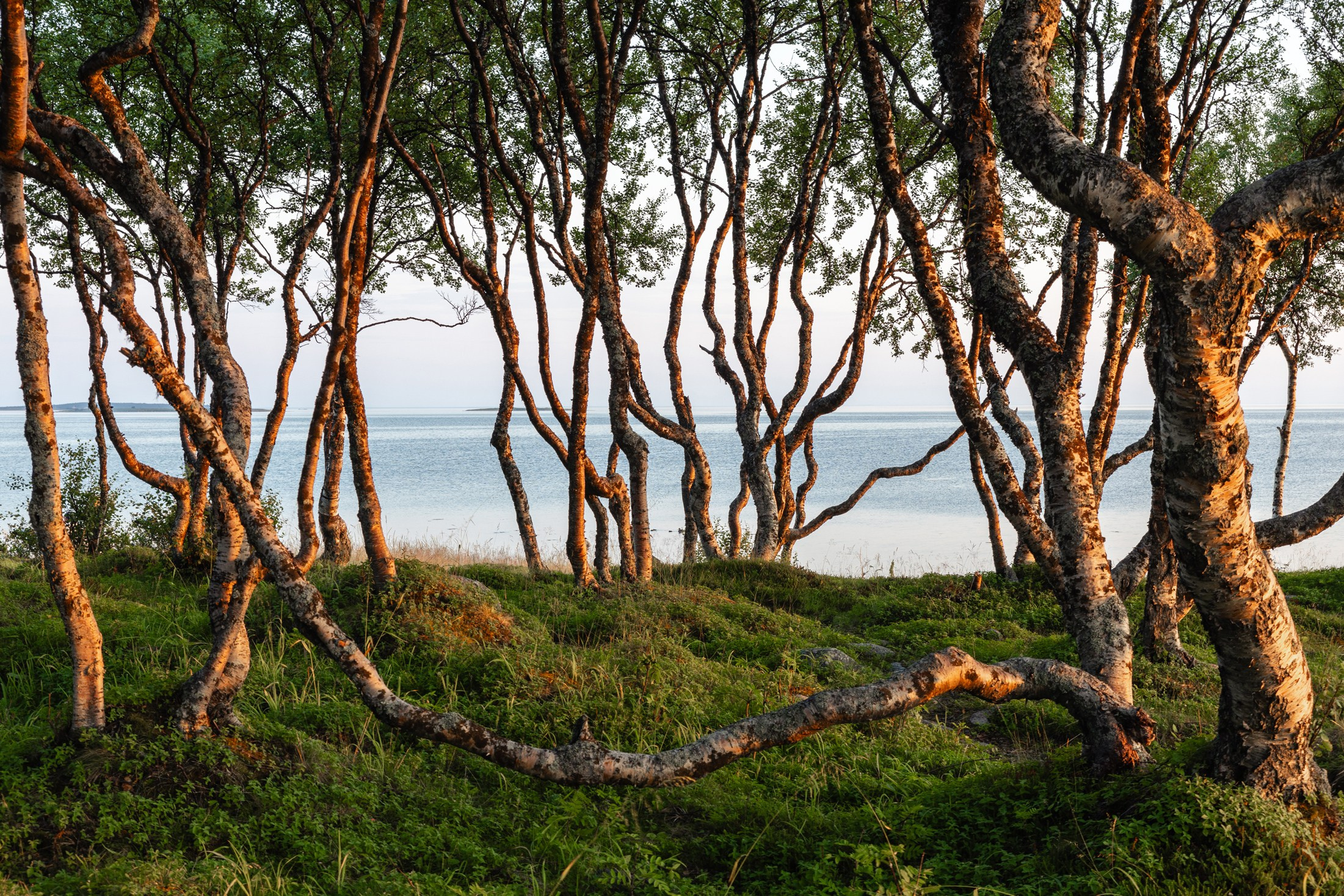 Вавилоны: исследование и практика